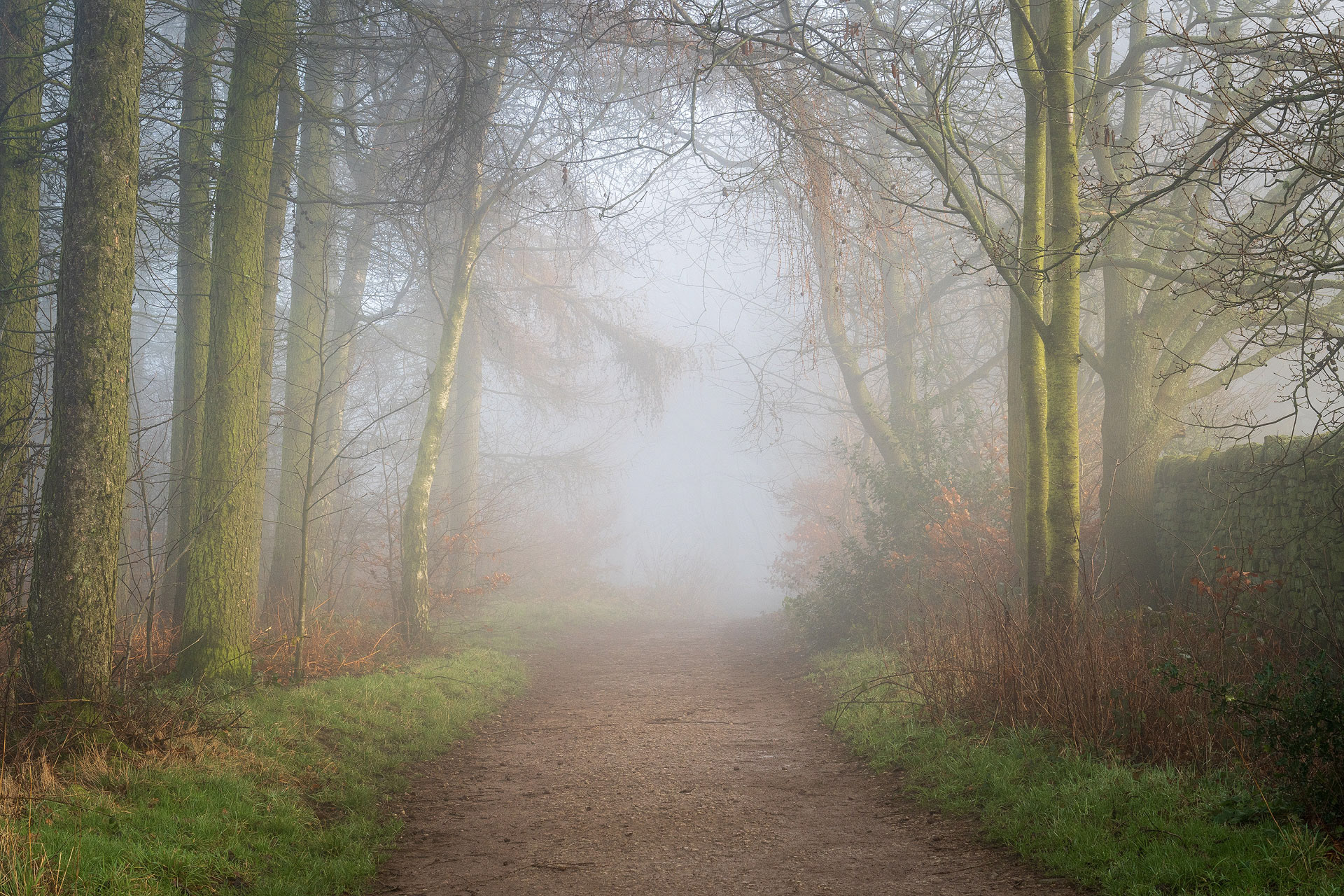 December - Chevin Forest Park