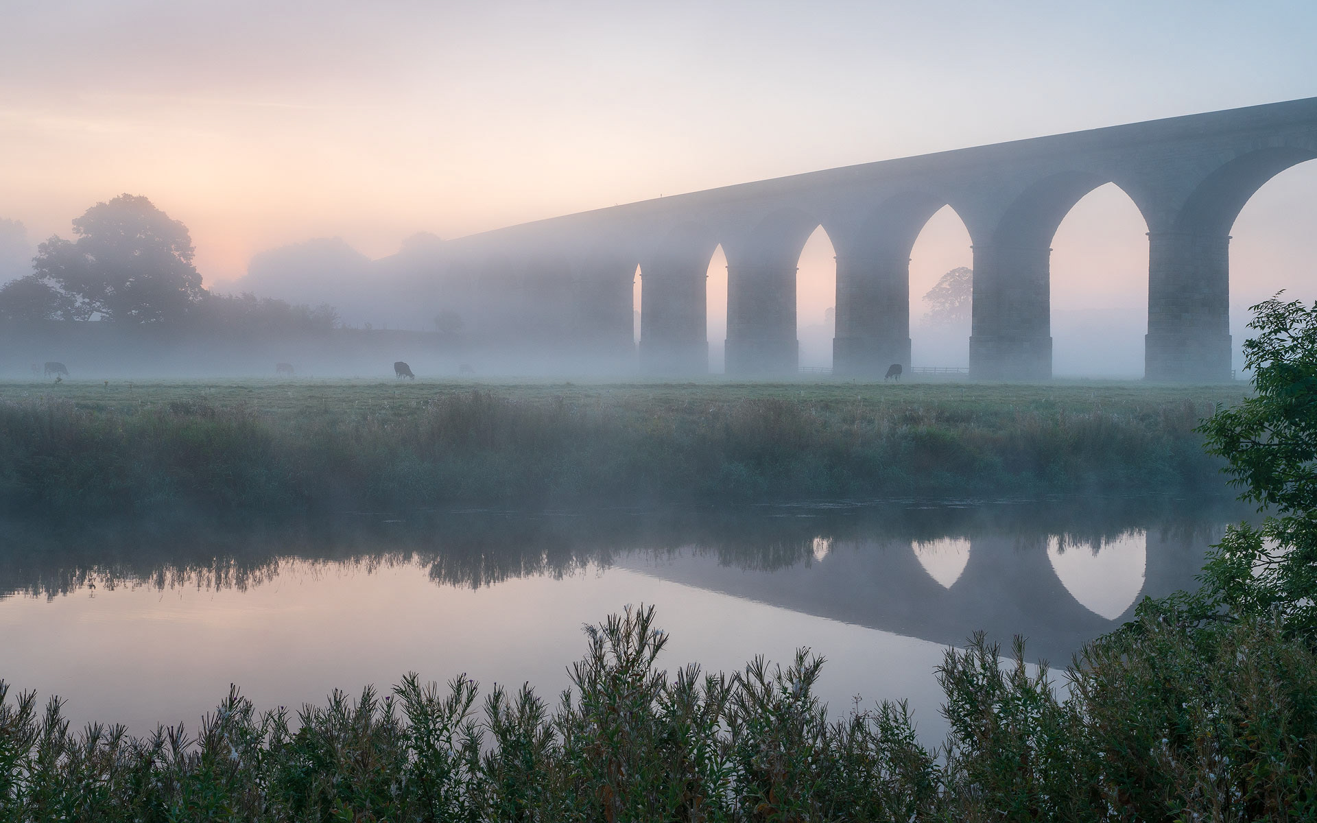 August - Arthington Viaduct