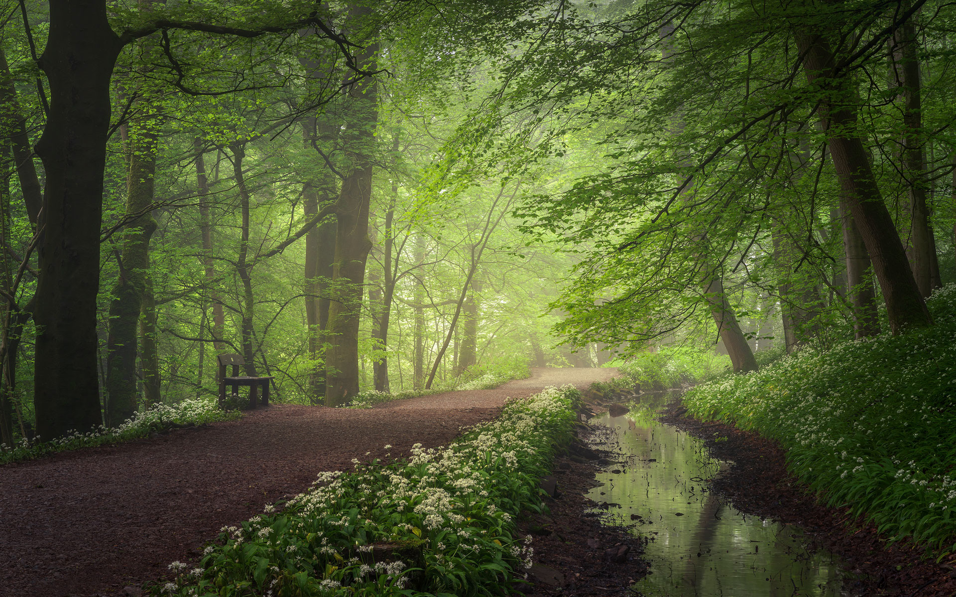 Skipton Castle Woods