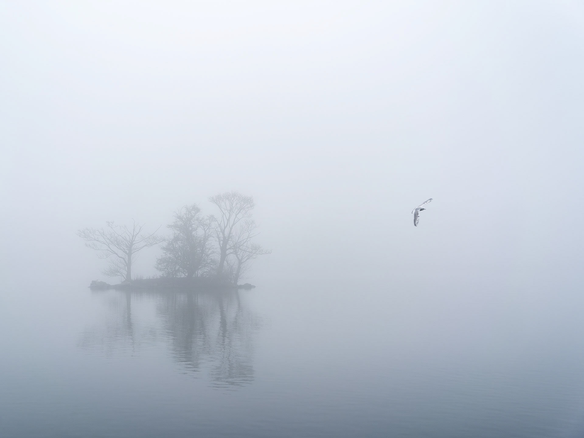 December - Yeadon Tarn