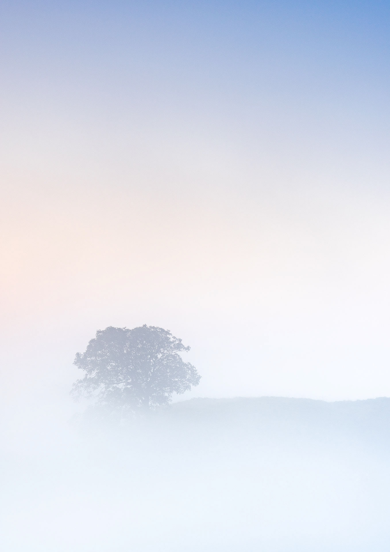Malham Lings