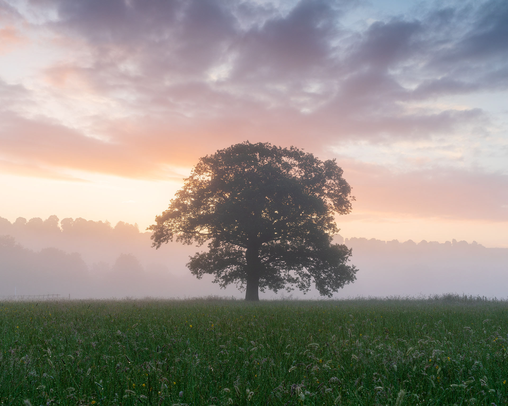 July - Kirkby Overblow