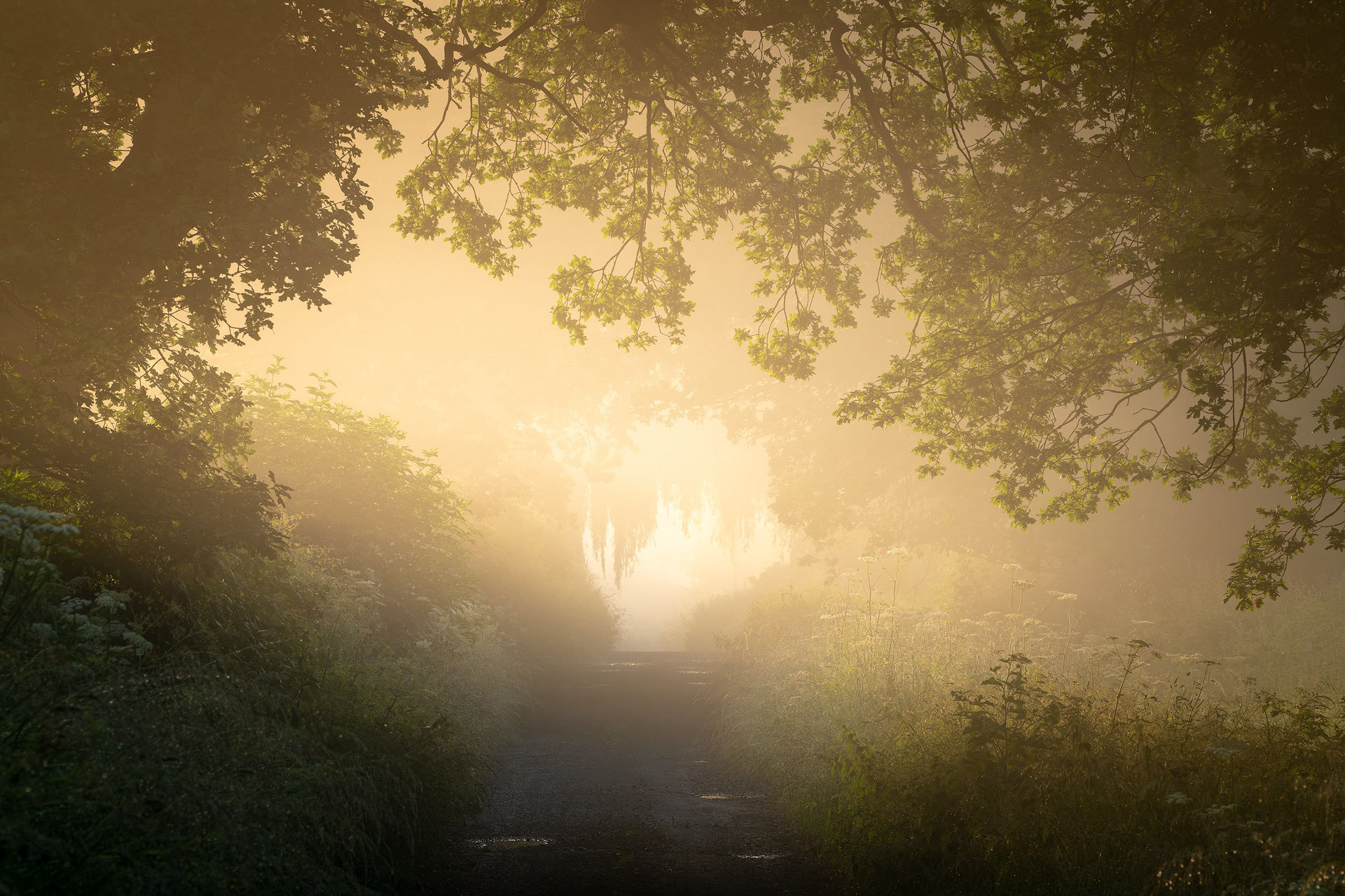 July - Harewood Estate