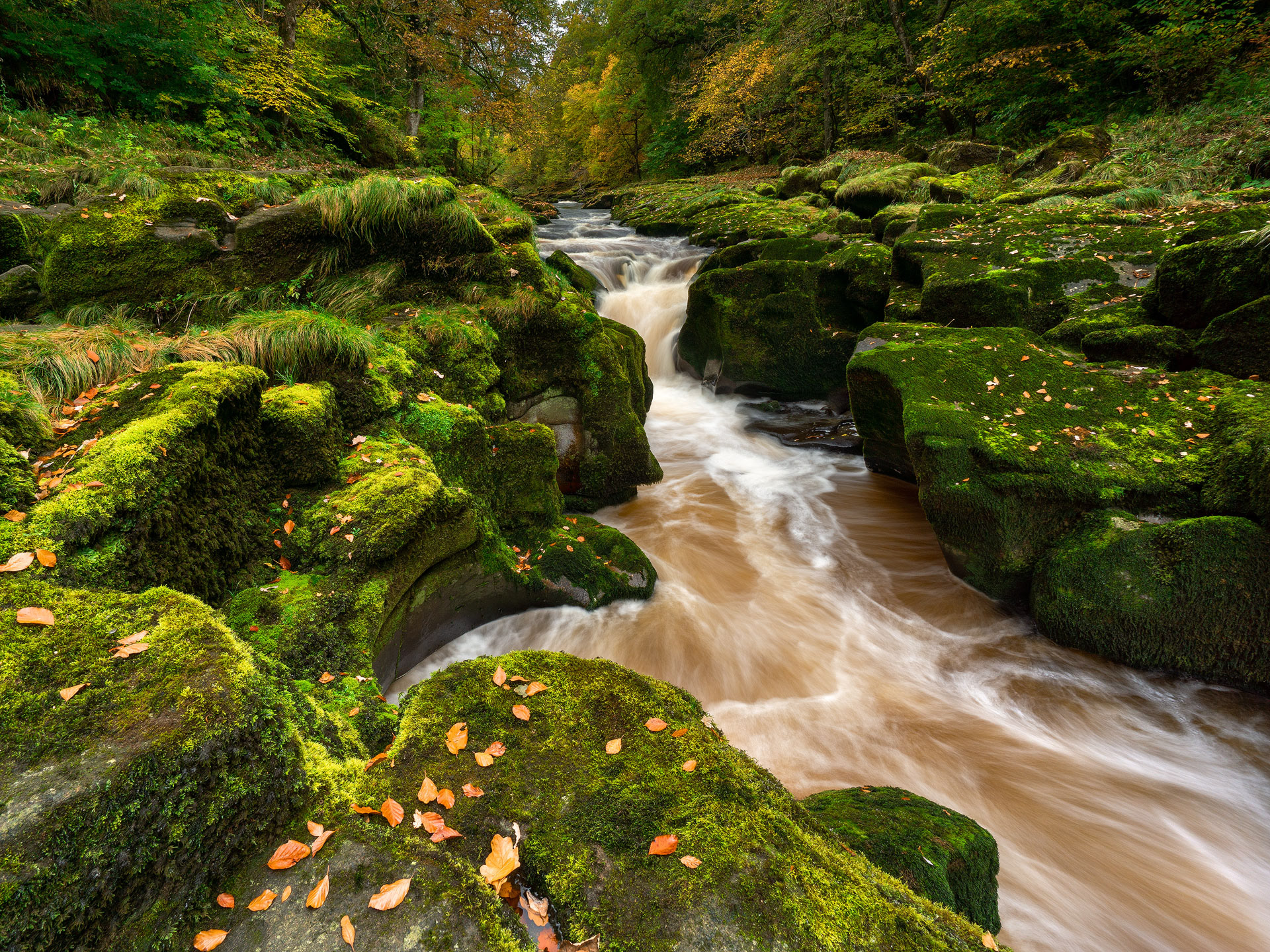 October - The Strid