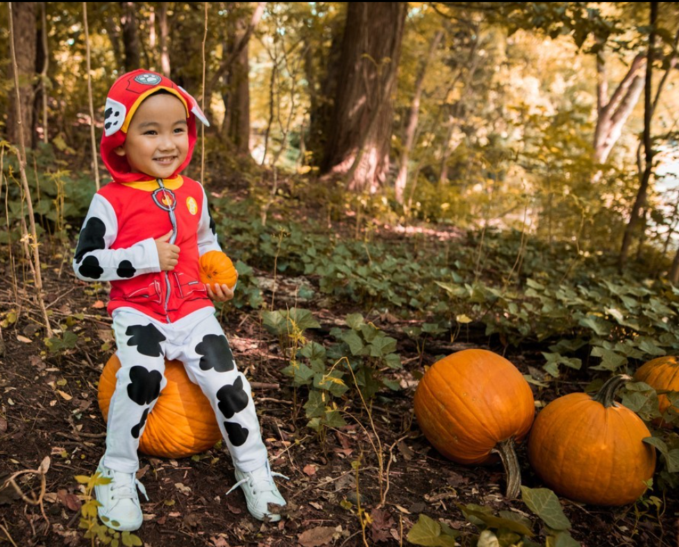 17. Marshall Paw Patrol