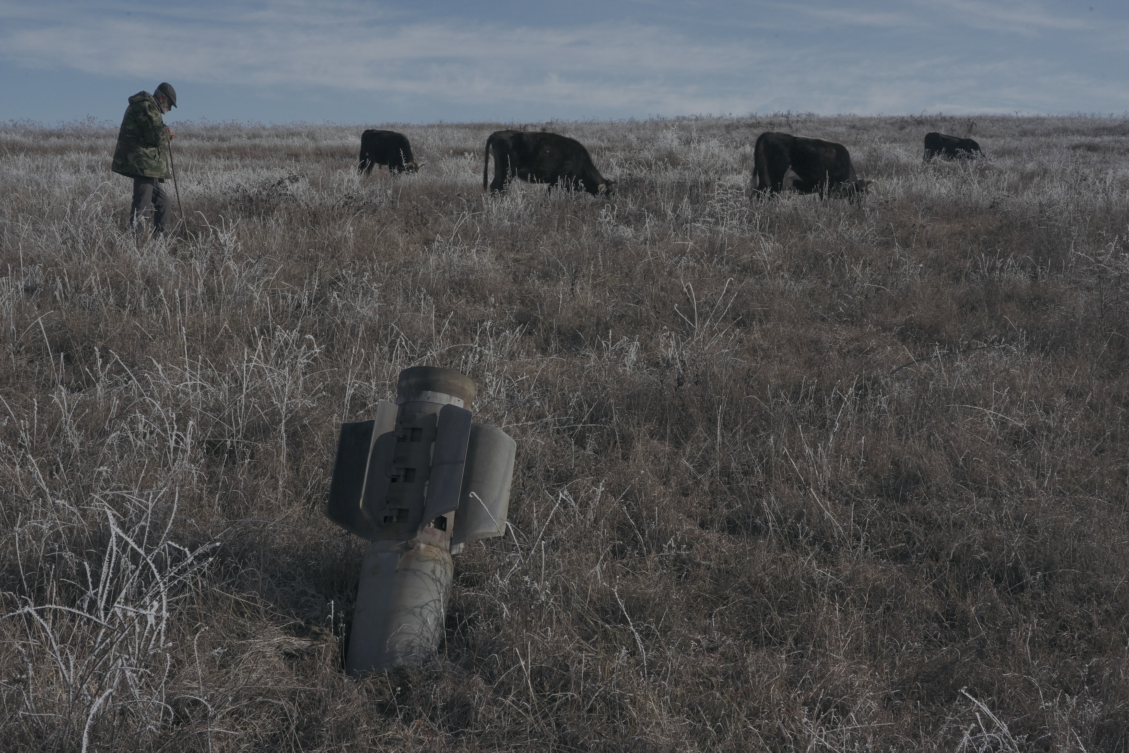 A man shepherds his cows near a rocket case left after a military conflict over Nagorno-Karabakh region, outside Stepanakert January 6, 2021. Picture taken January 6, 2021. REUTERS/Artem Mikryukov