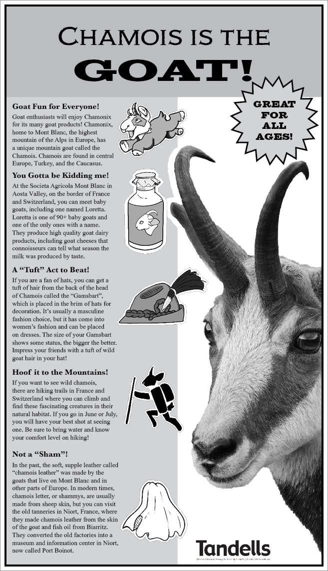 Newspaper Ad