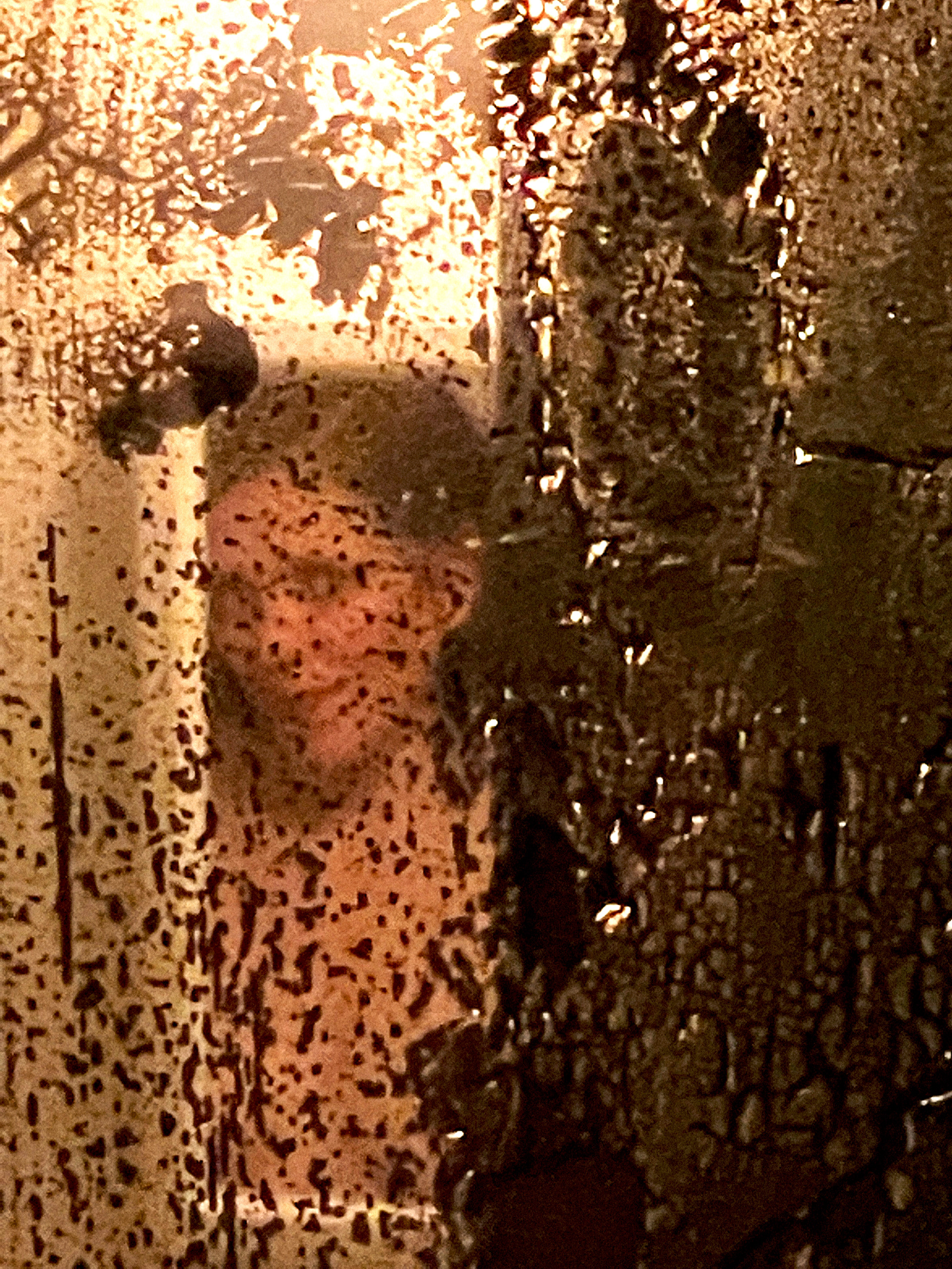The Other Mirror, 2020