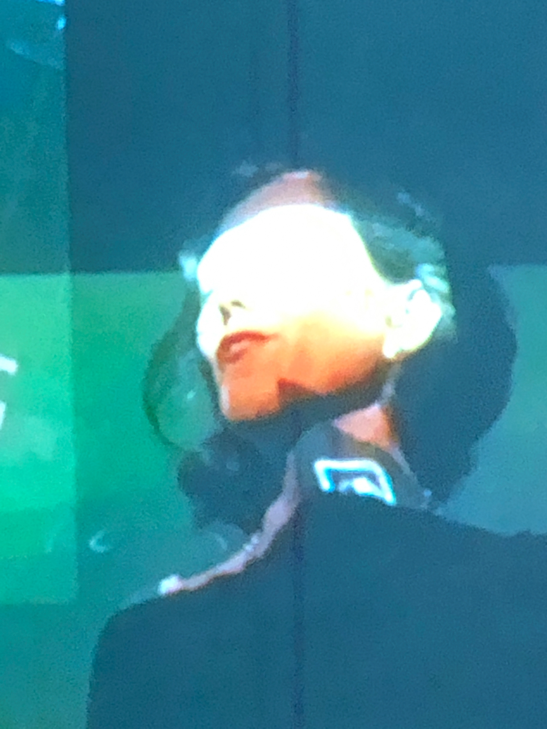 Temporary Diversity, 2019