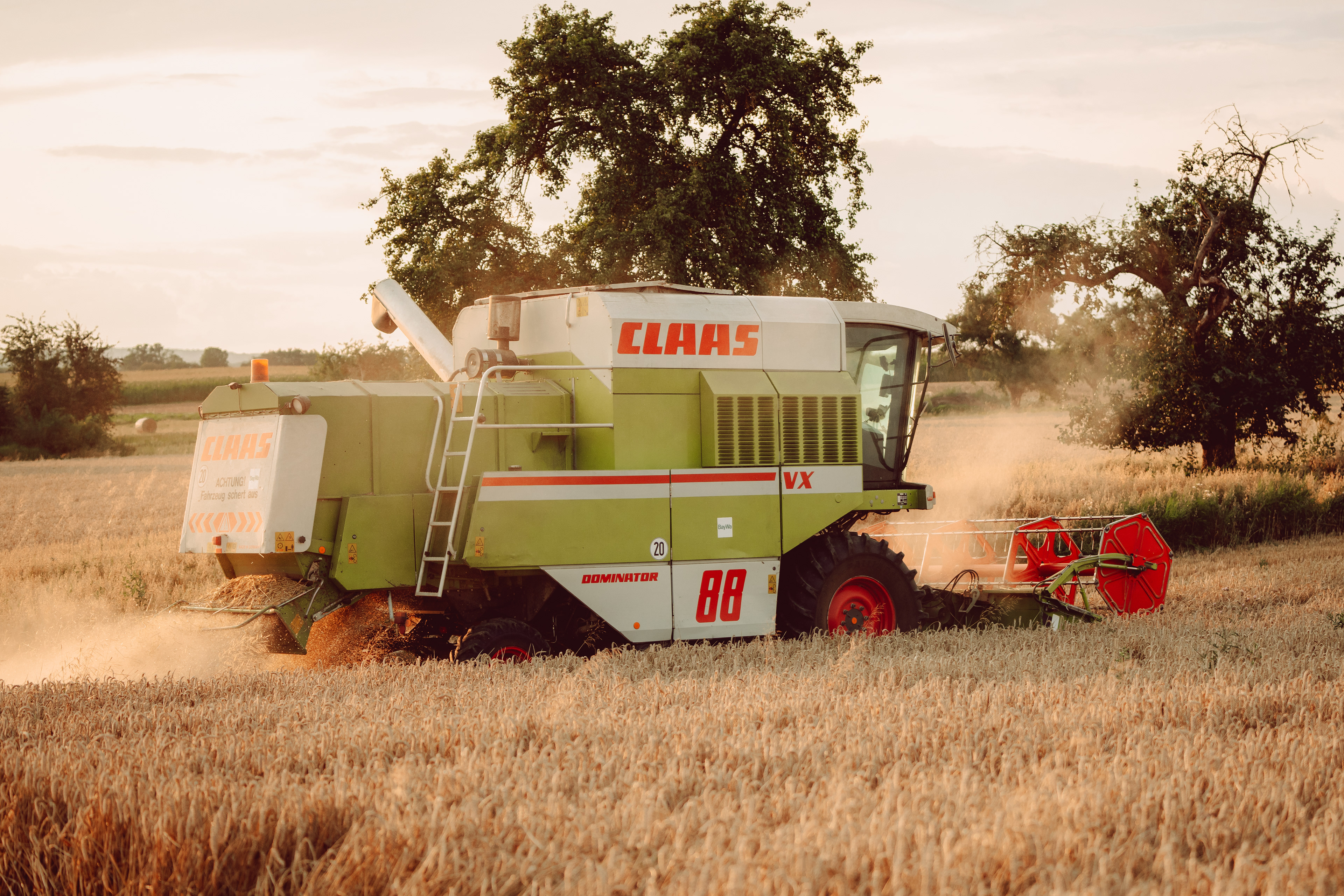 Weizenernte 2024