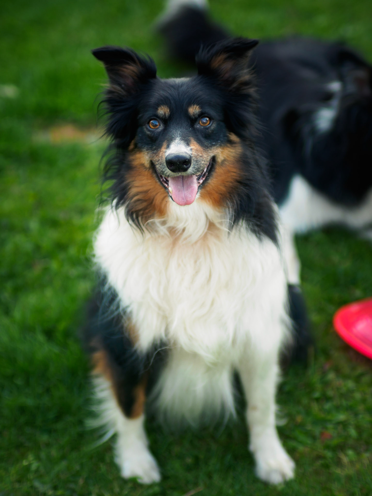 OLYMPUS DIGITAL CAMERA