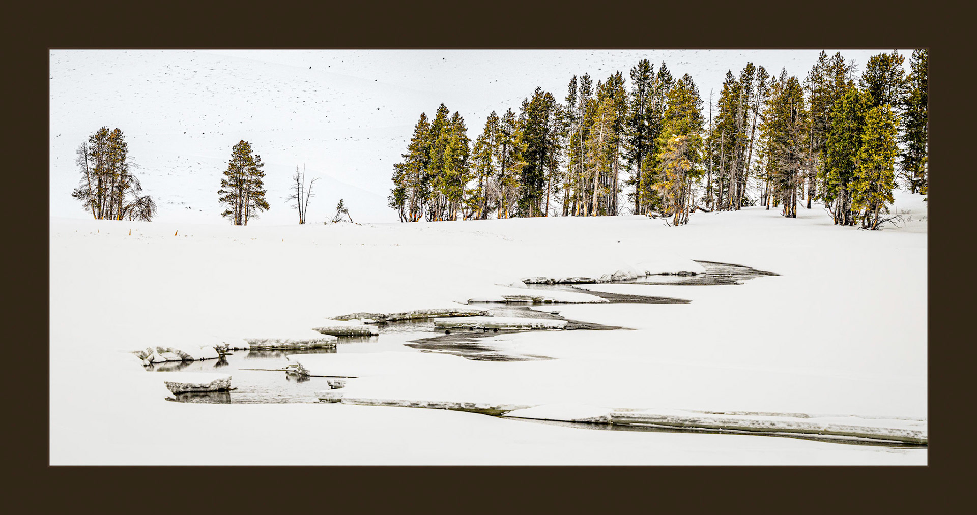 Snowy Creek in the Gibbon River Valley