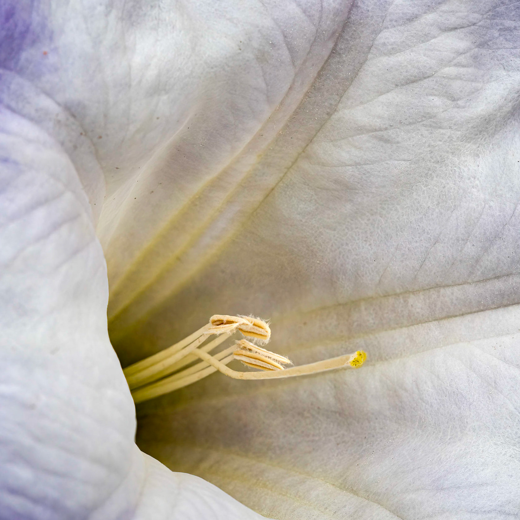 © Lloyd Delaney