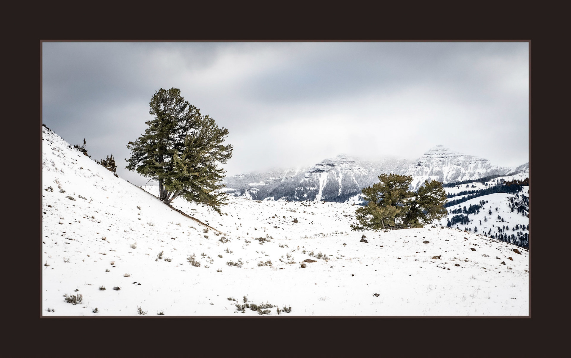 Snowscape