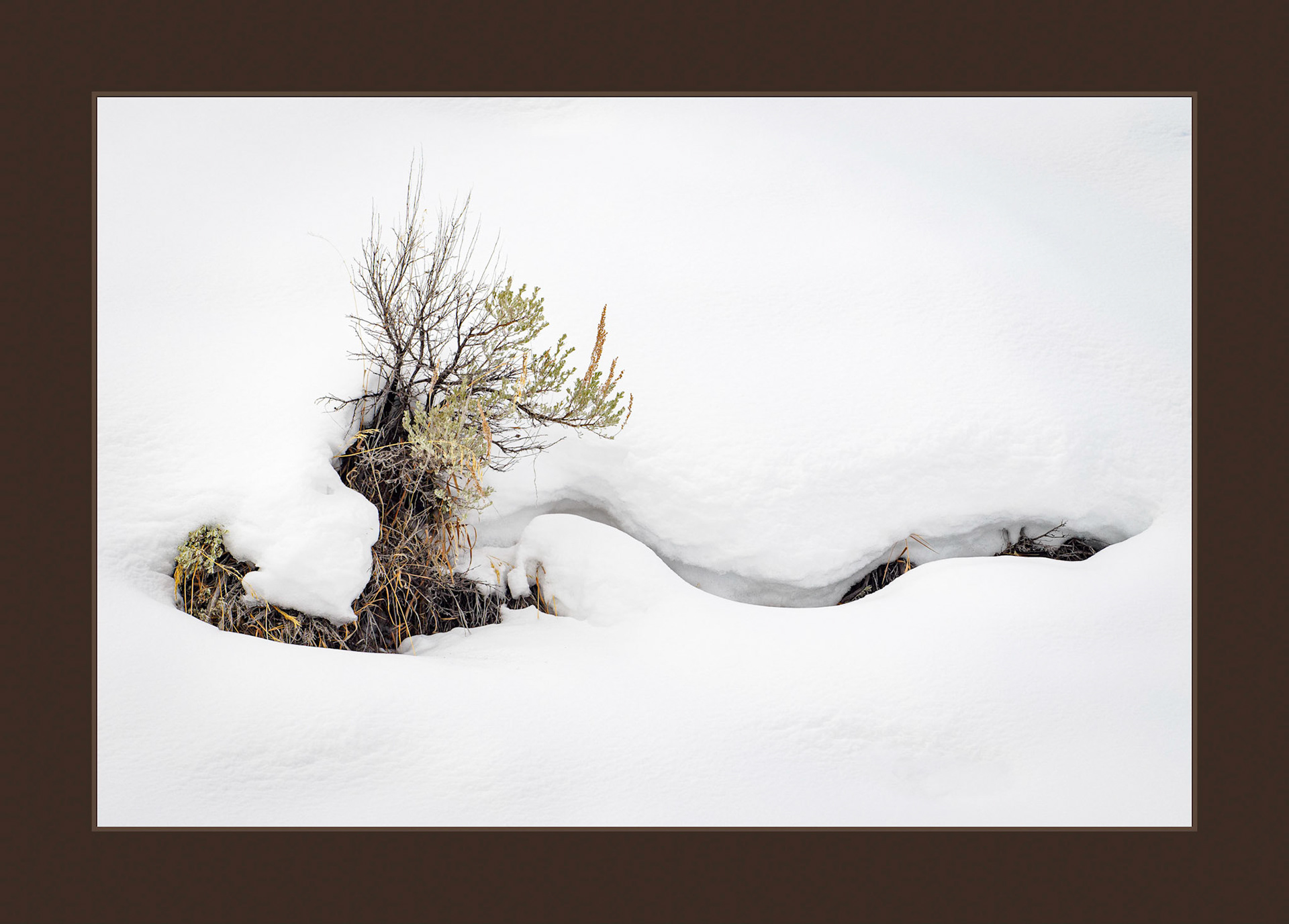 Snowy Abstract