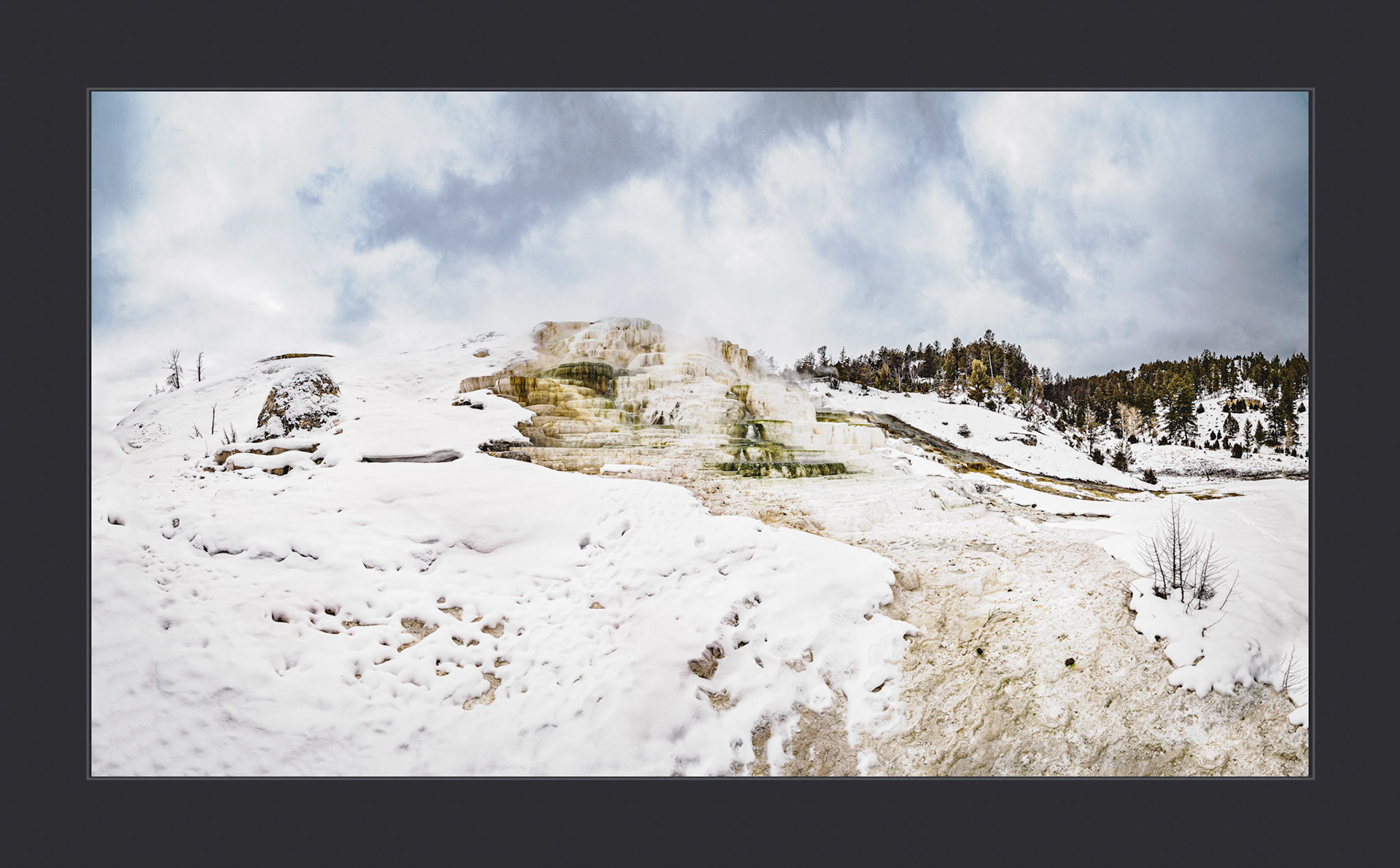 Mammoth Hot Springs