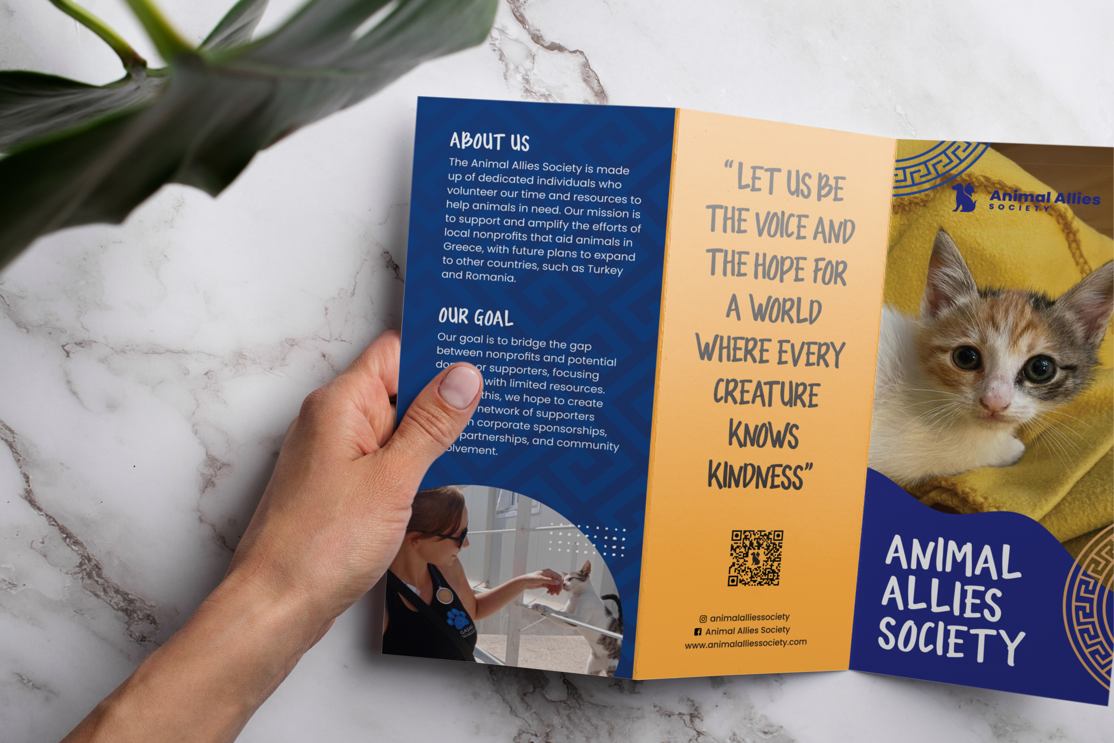 Brochure pages