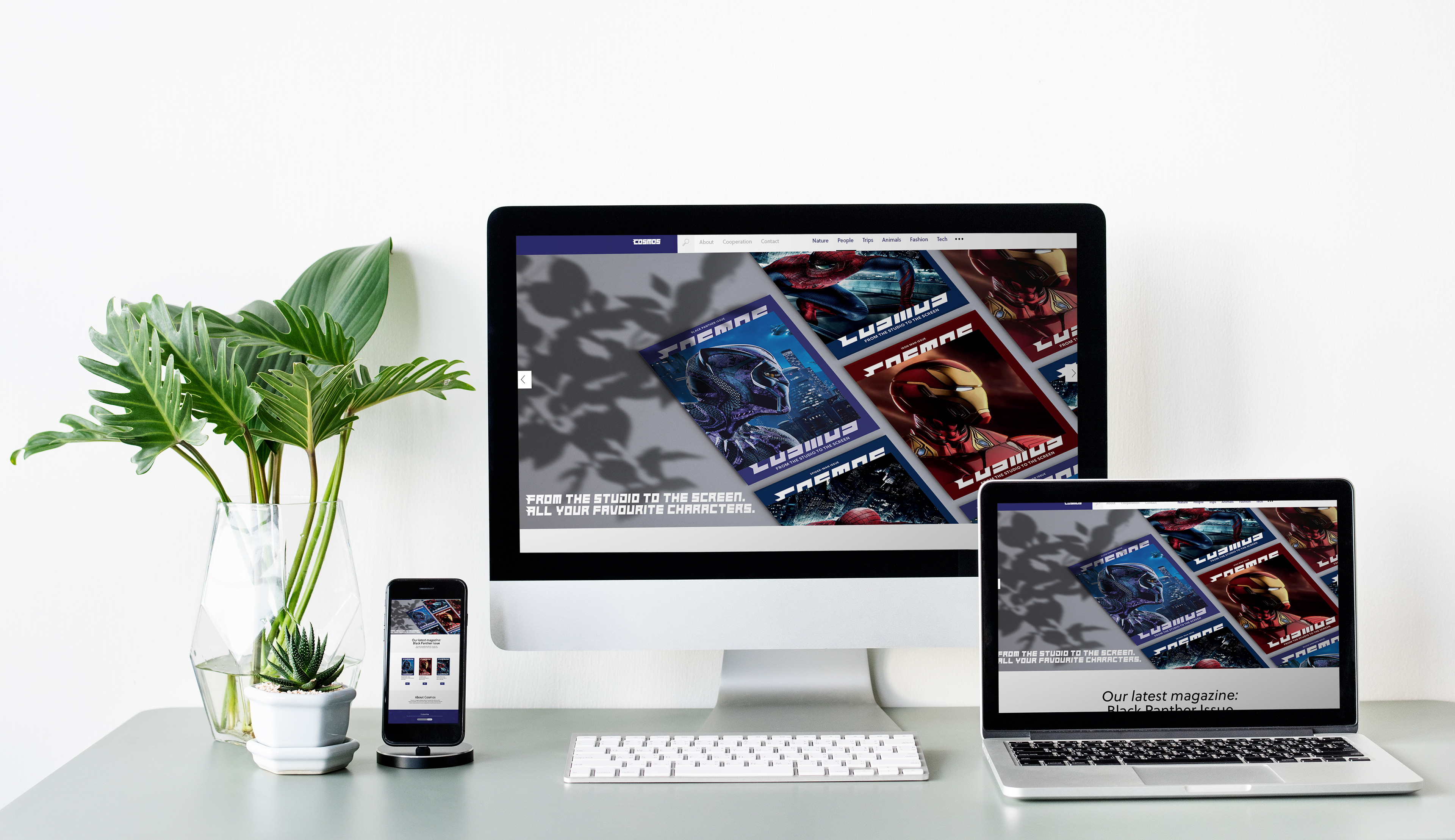 Cosmos website