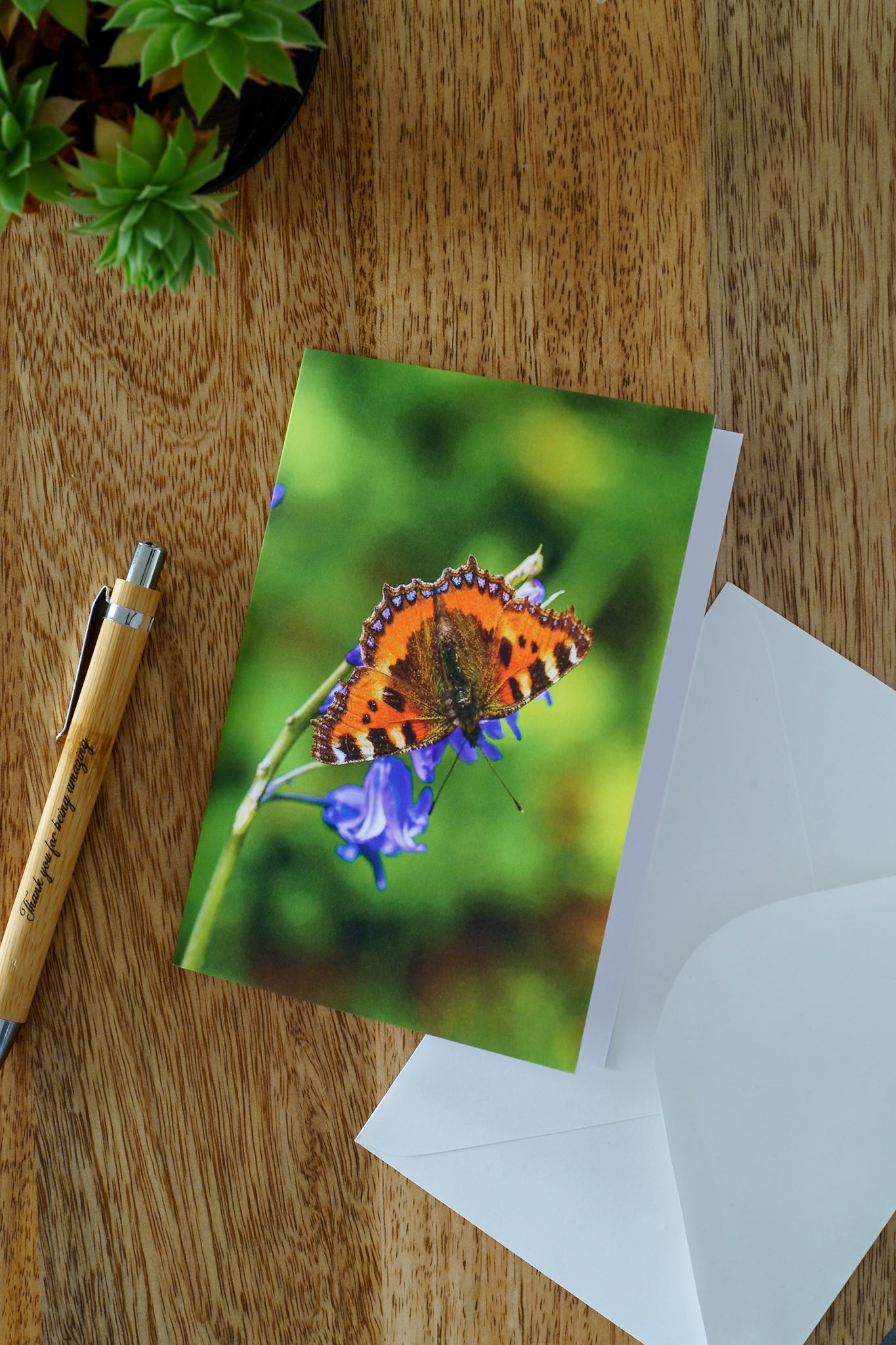 Butterfly is not a bee