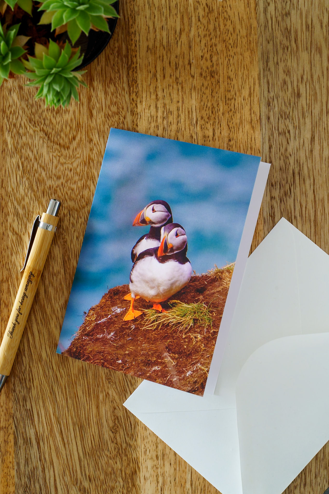 Two puffins