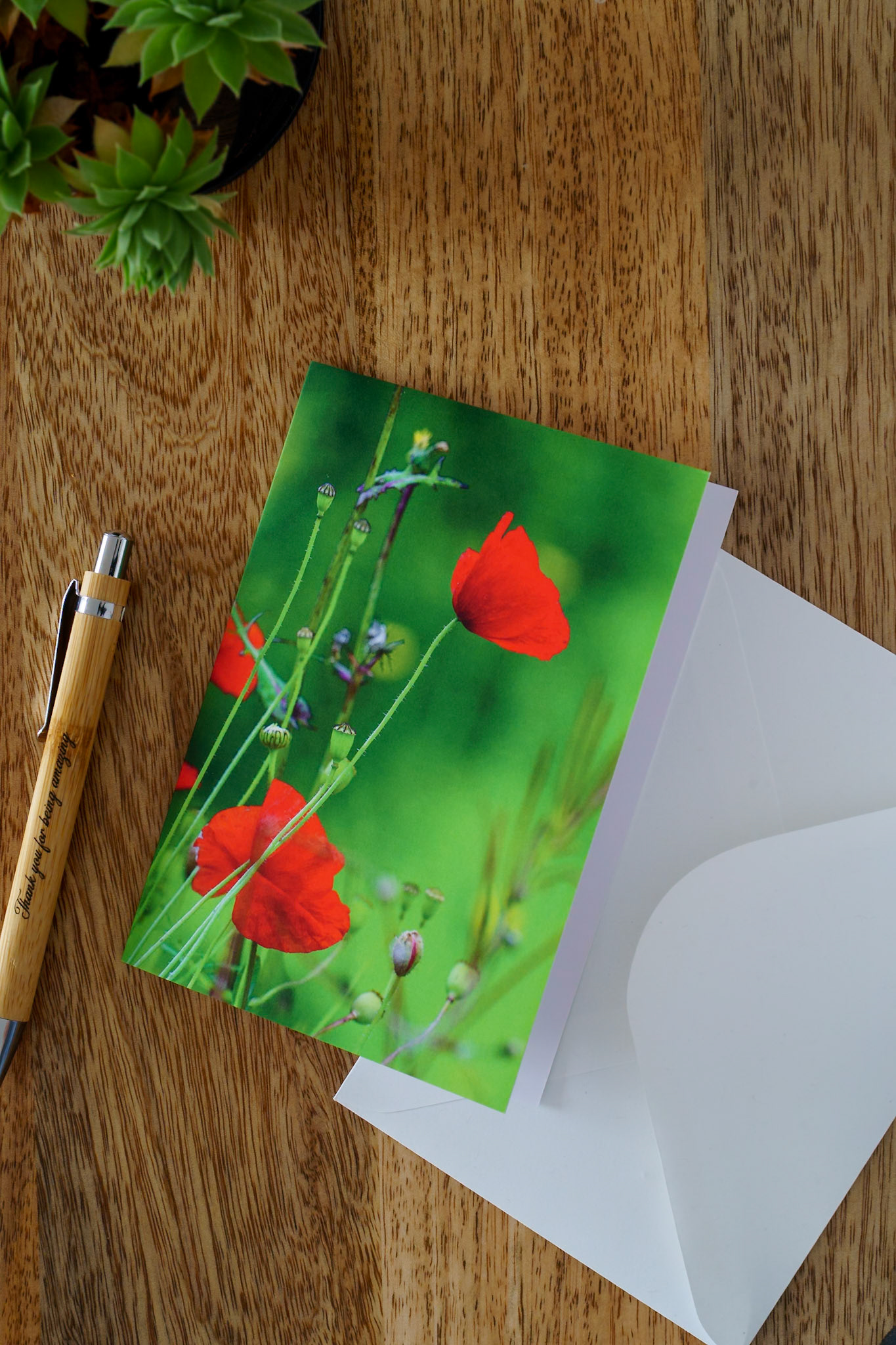 Summer poppies