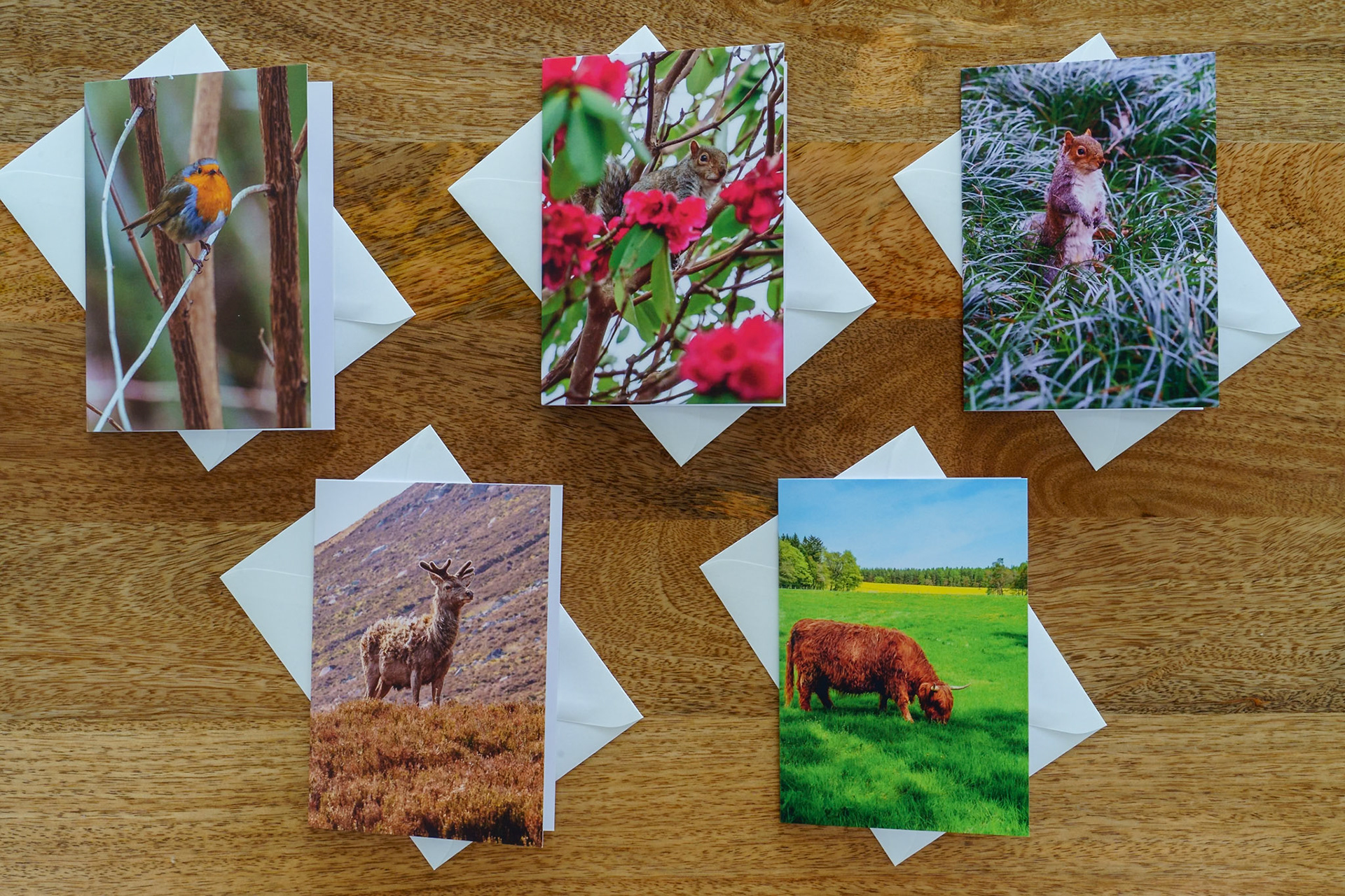 Wildlife set