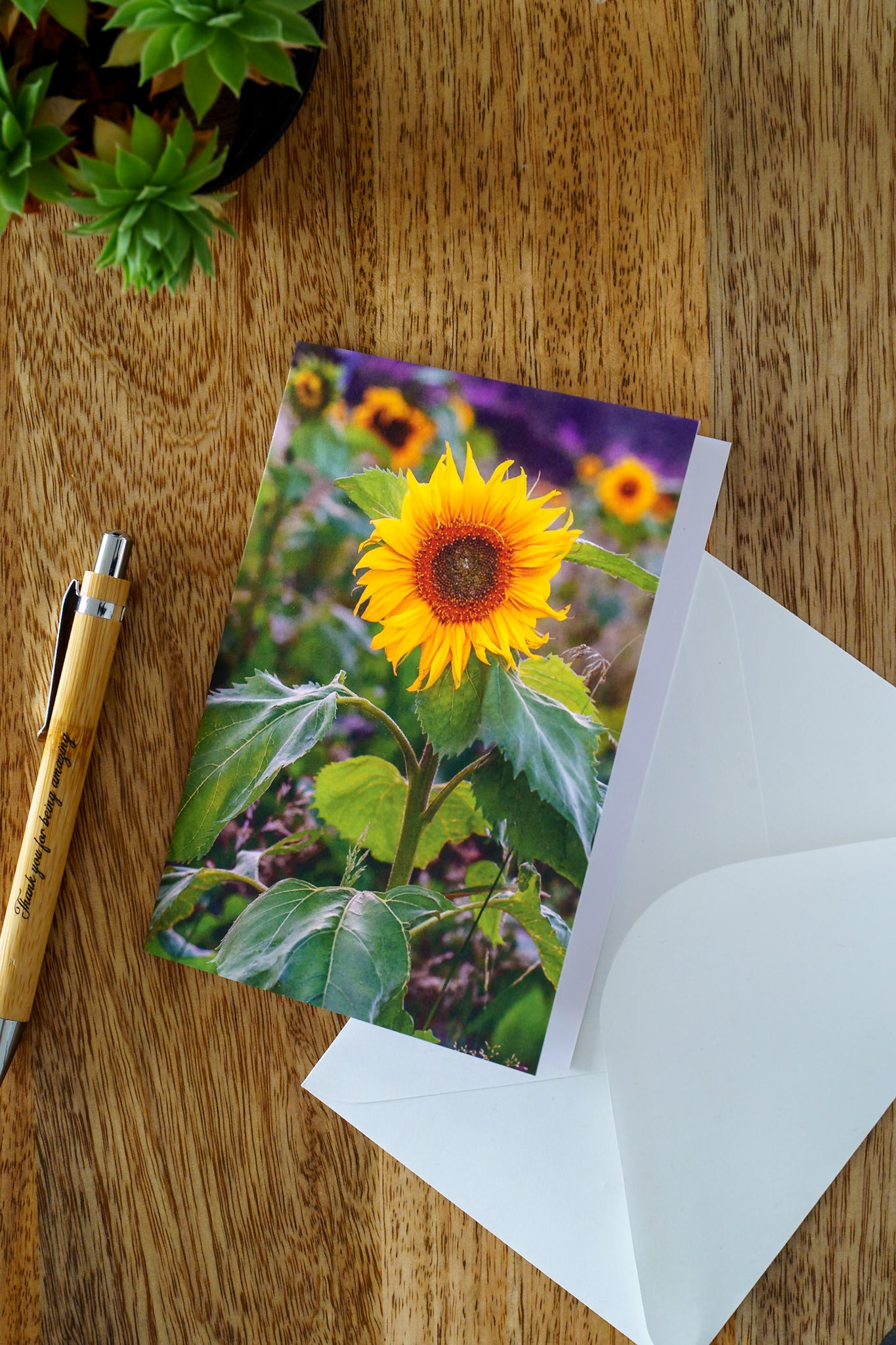 Sunflowers