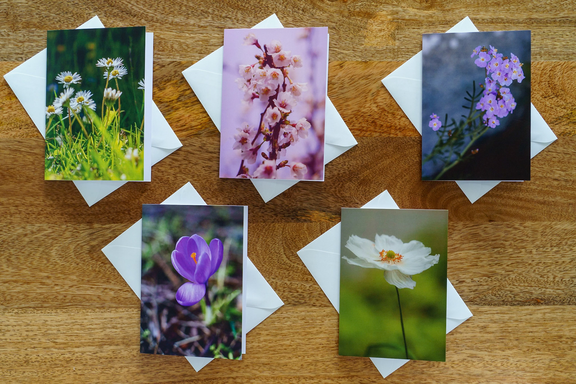 Dreamy flowers set