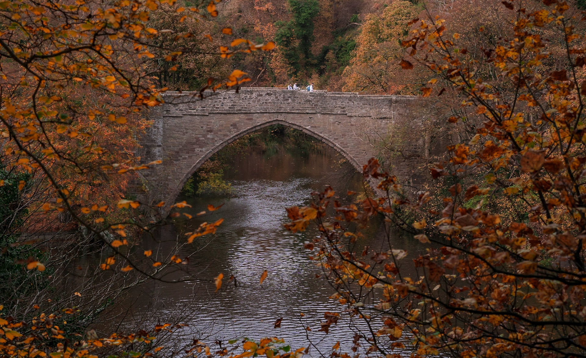 Image of the bridge Brig o’ Balgownie in Aberdeen framed with tree branches at autumn when the leaves are changing colours. There’s a few people crossing the bridge.