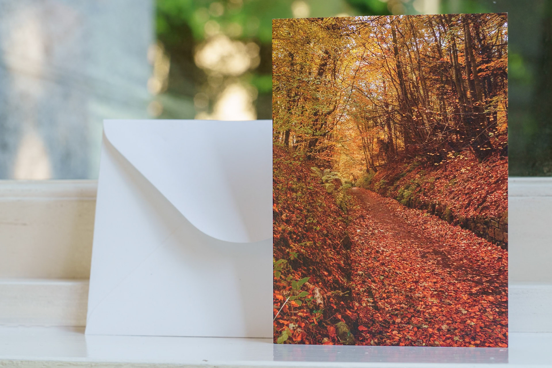 Autumn dream