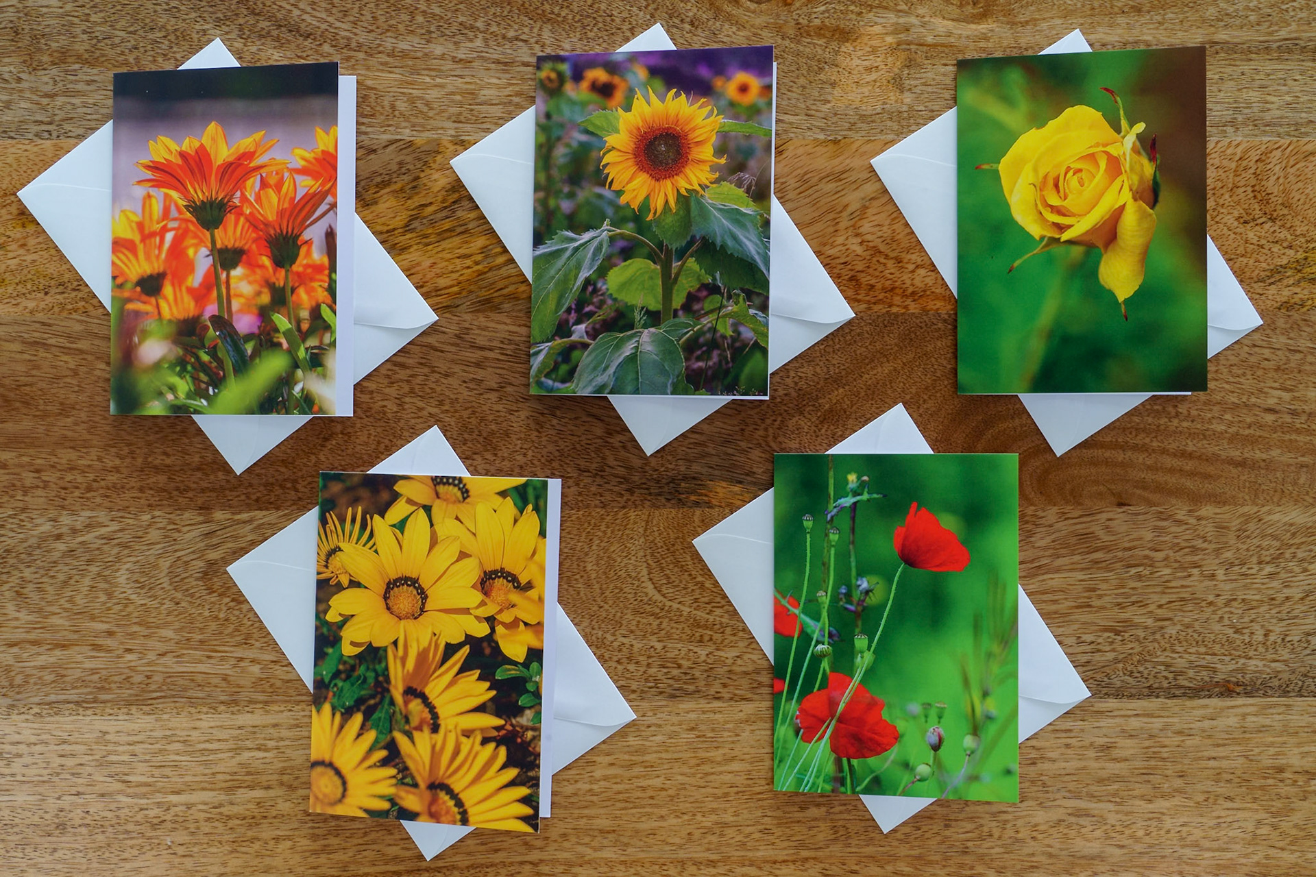 Summer flowers set