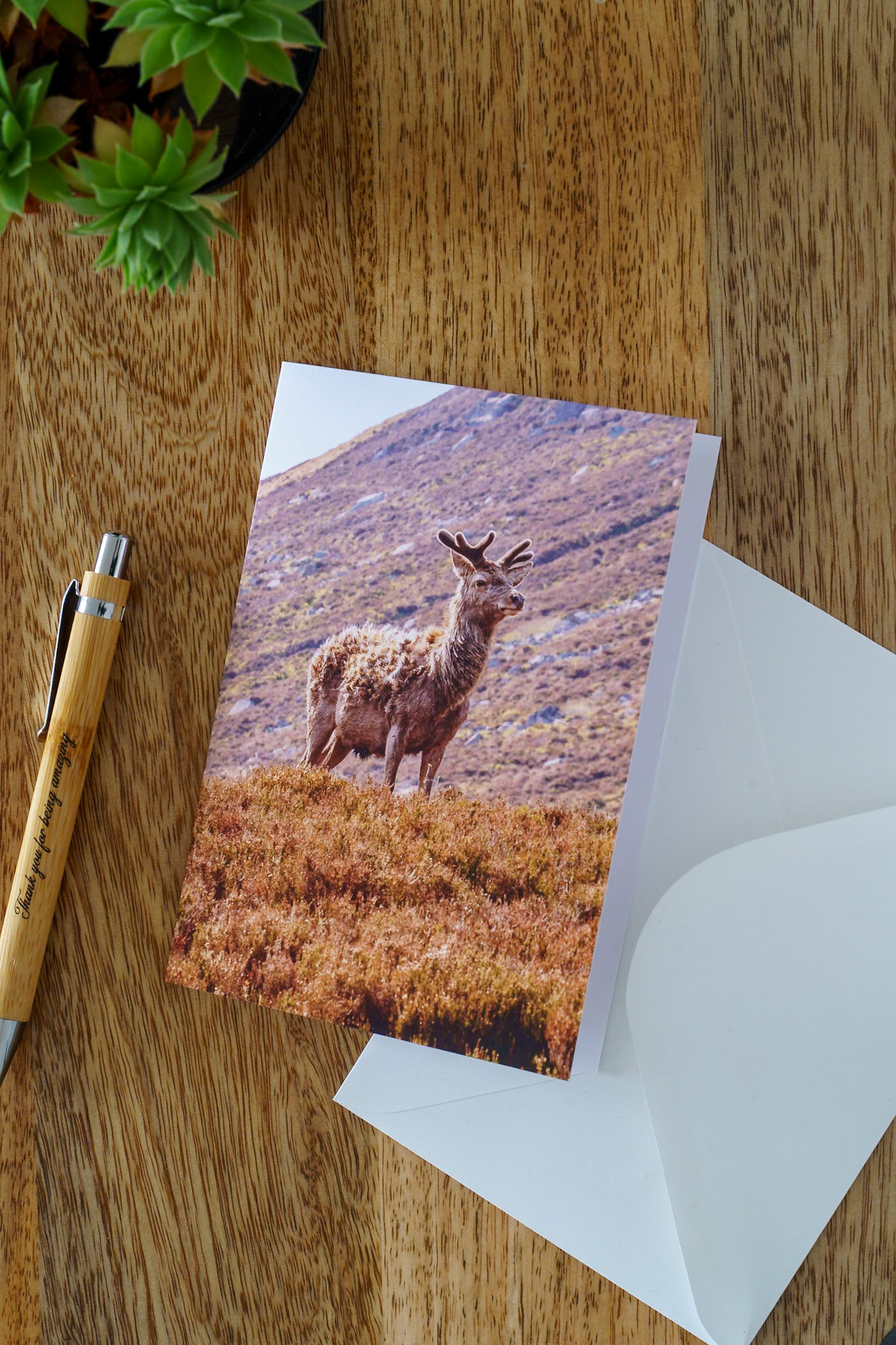 Deer at Loch Muick