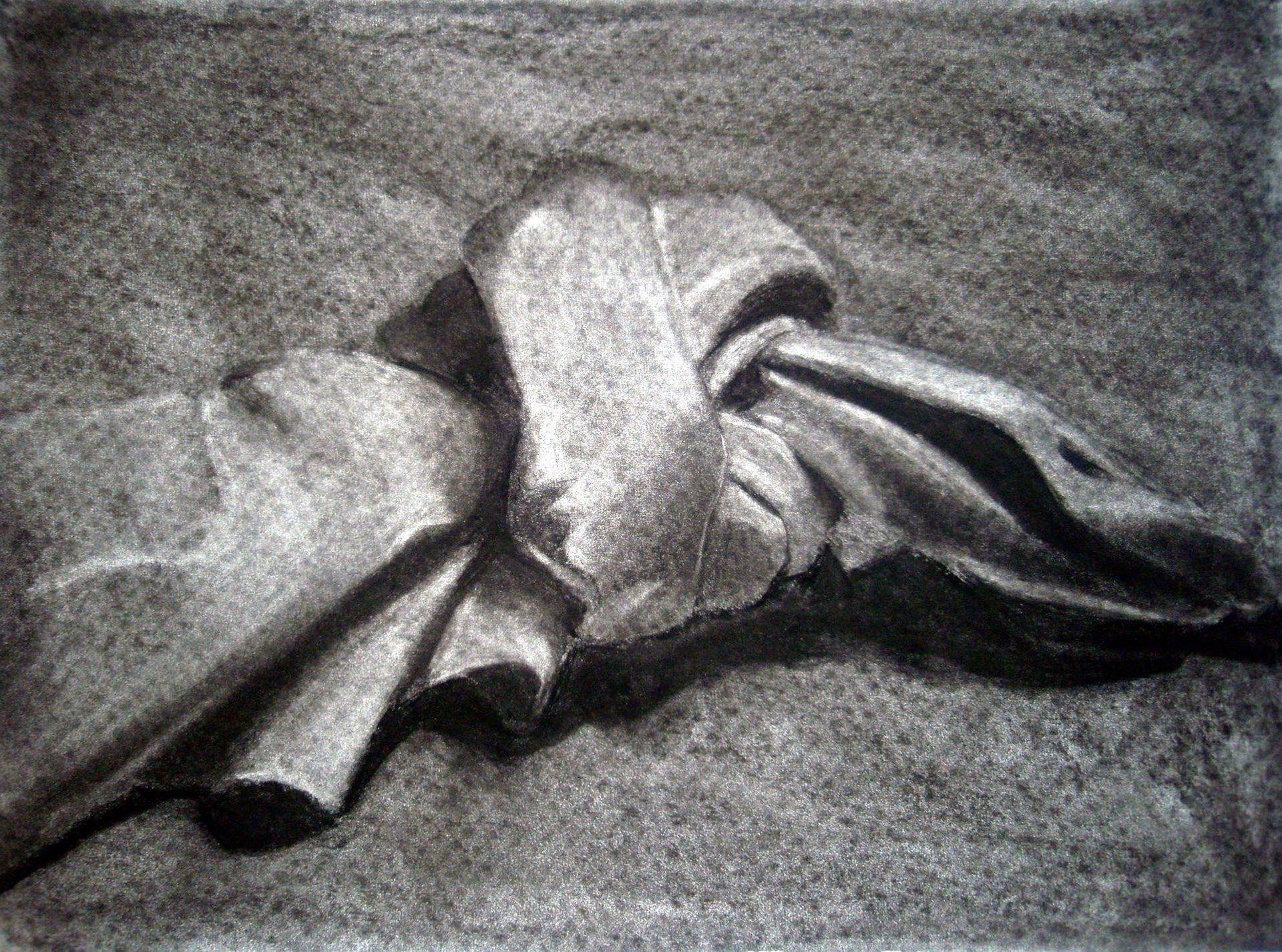 Homework assignment for Drawing 101 designed to teach student how to render folds in cloth. Drawn in 30 minutes. June 2008 | Charcoal on 18"x24" Drawing paper