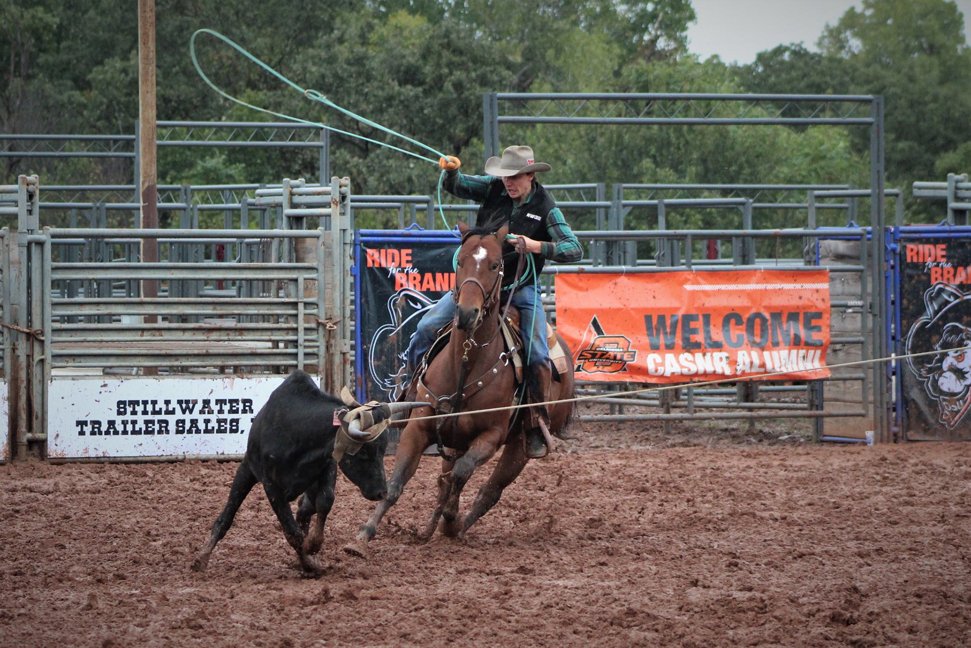 A team roping heeler swings his rope while pursuing a steer during the Oklahoma State University Rodeo on Oct. 12, 2018, in Stillwater, Oklahoma. (Photo by Jay Barlett)