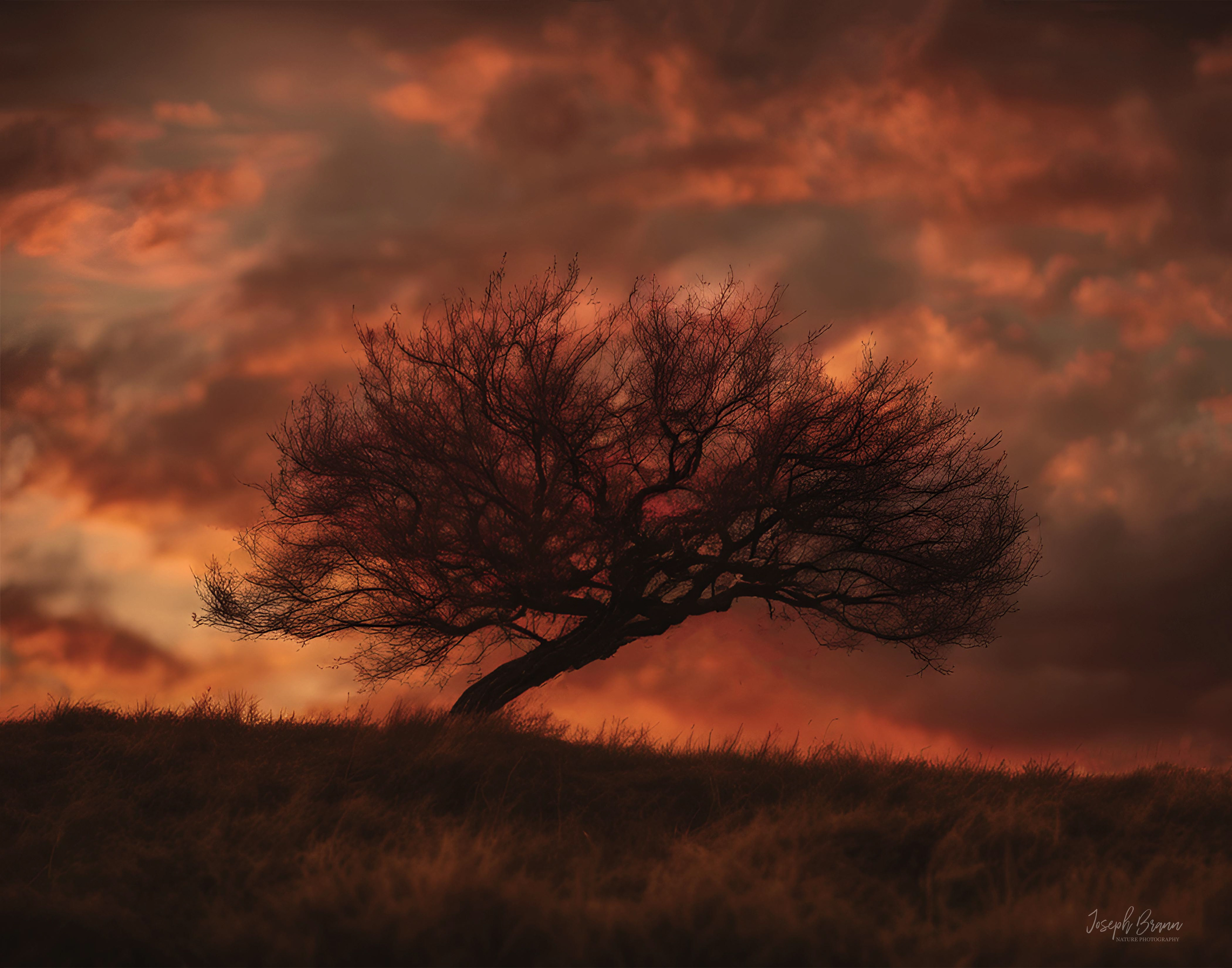 Windswept - April 12, 2024