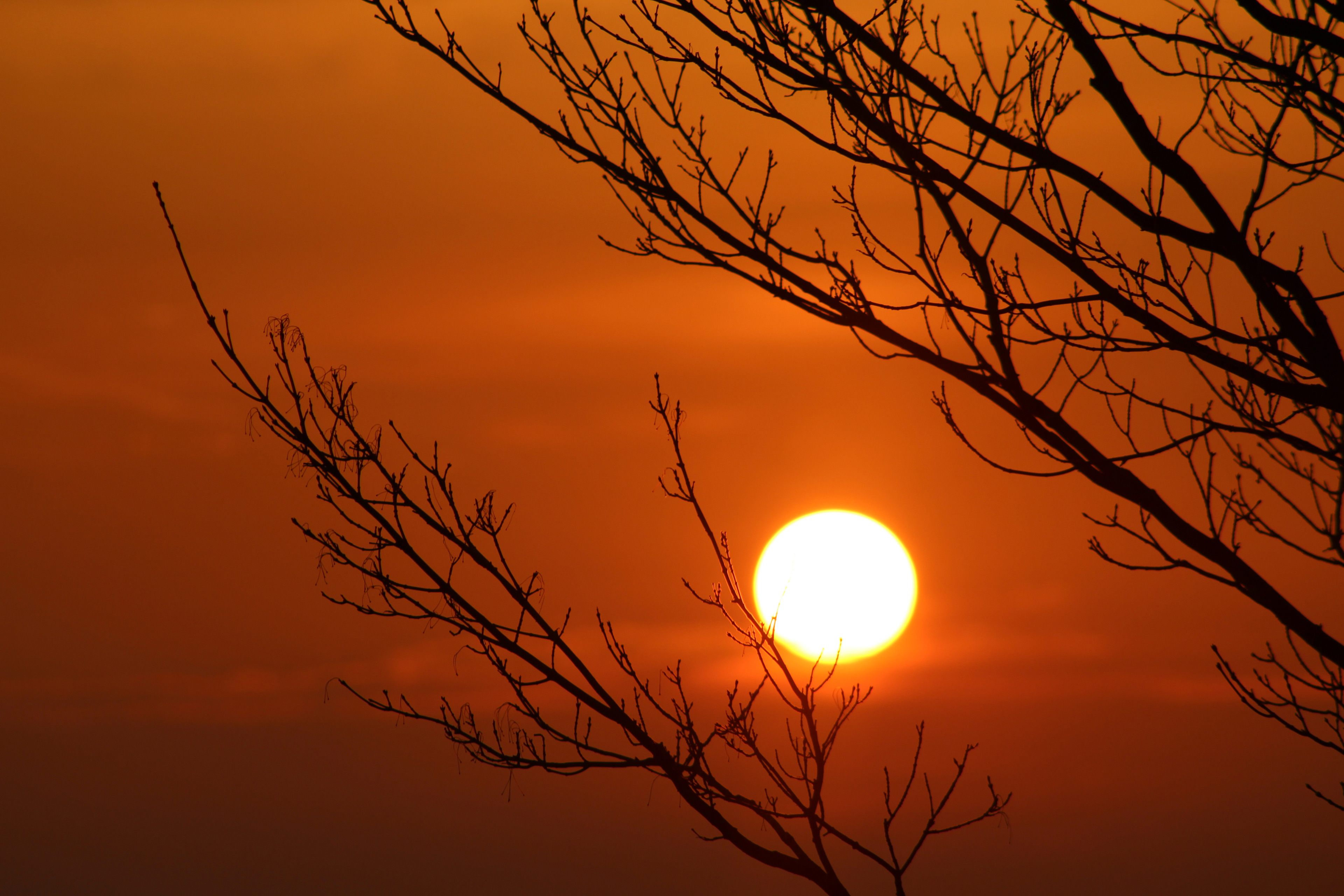 Spring Sunset