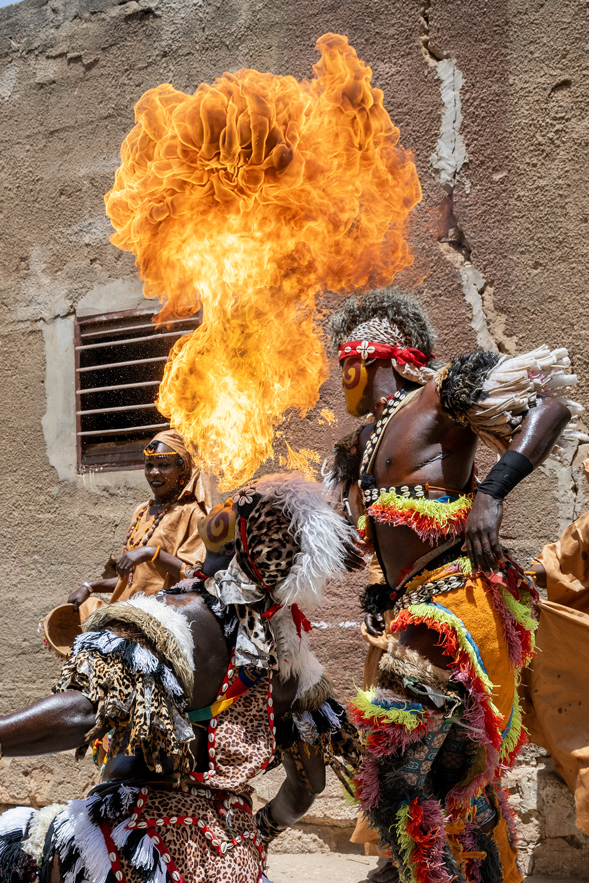 Senegal fire breather 