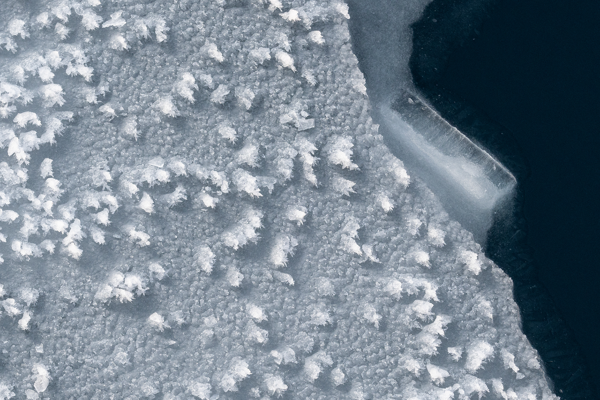 North Pole - Frost Flowers