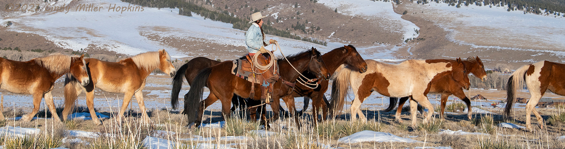 Music Meadows Ranch, Westcliffe, Colorado
