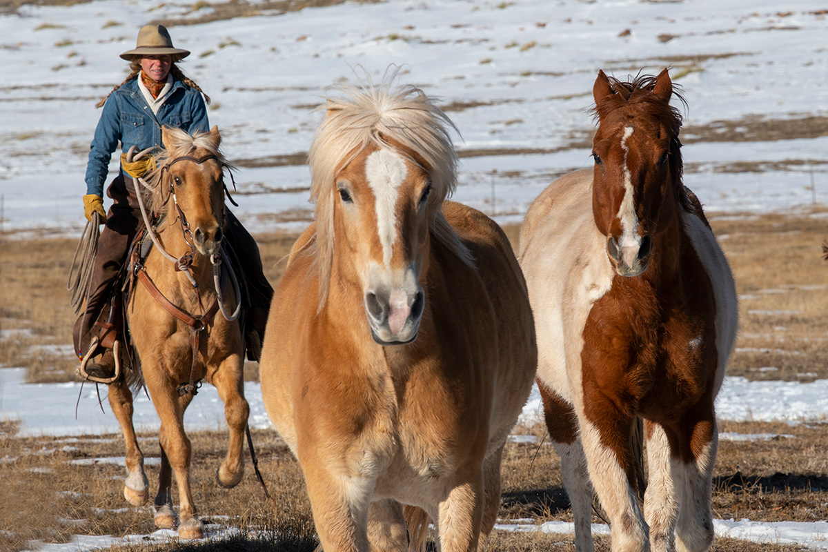 Music Meadows Ranch, Westcliffe, Colorado
