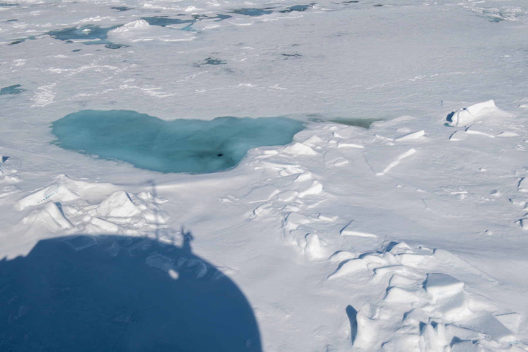 North Pole