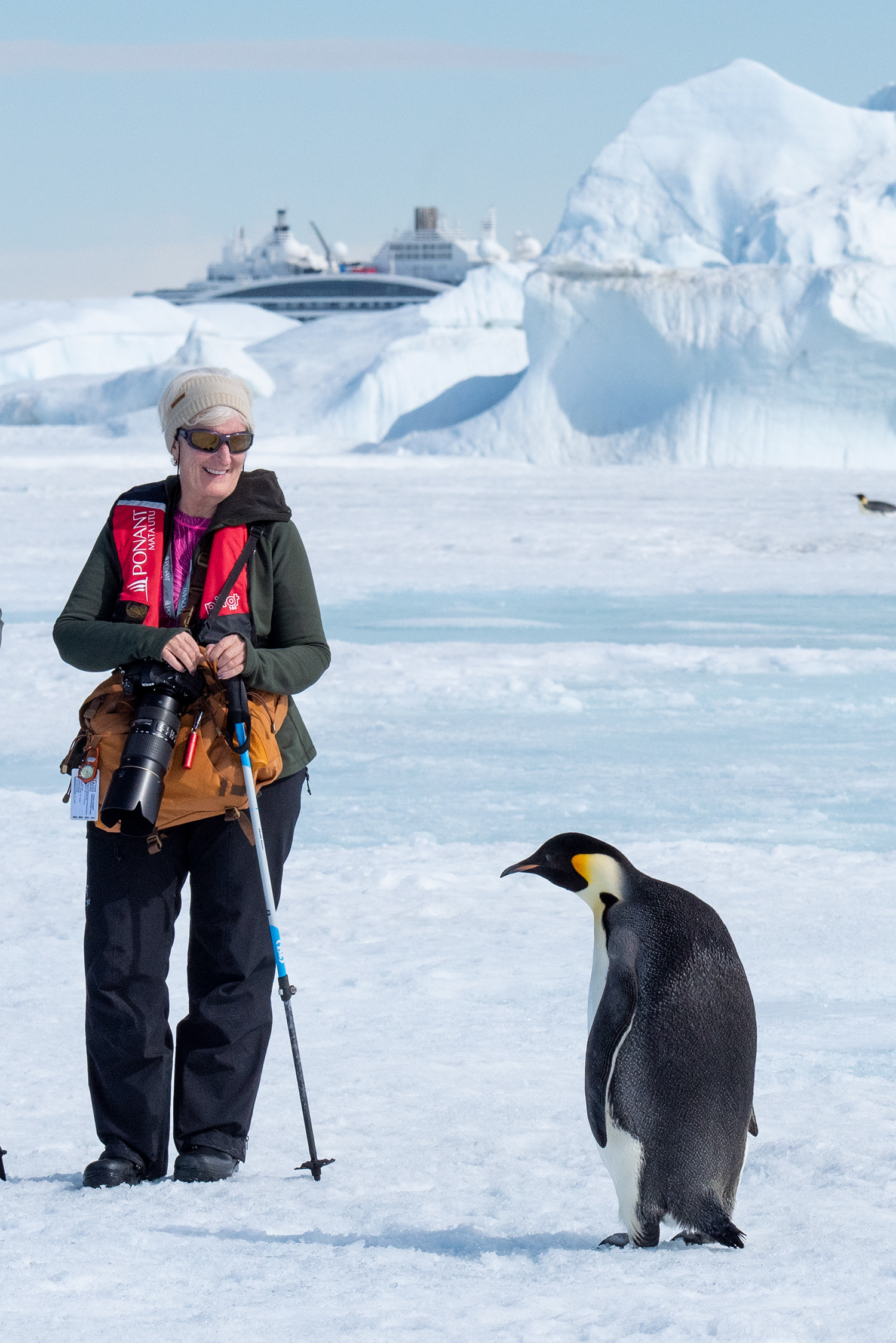 Emperor penguin