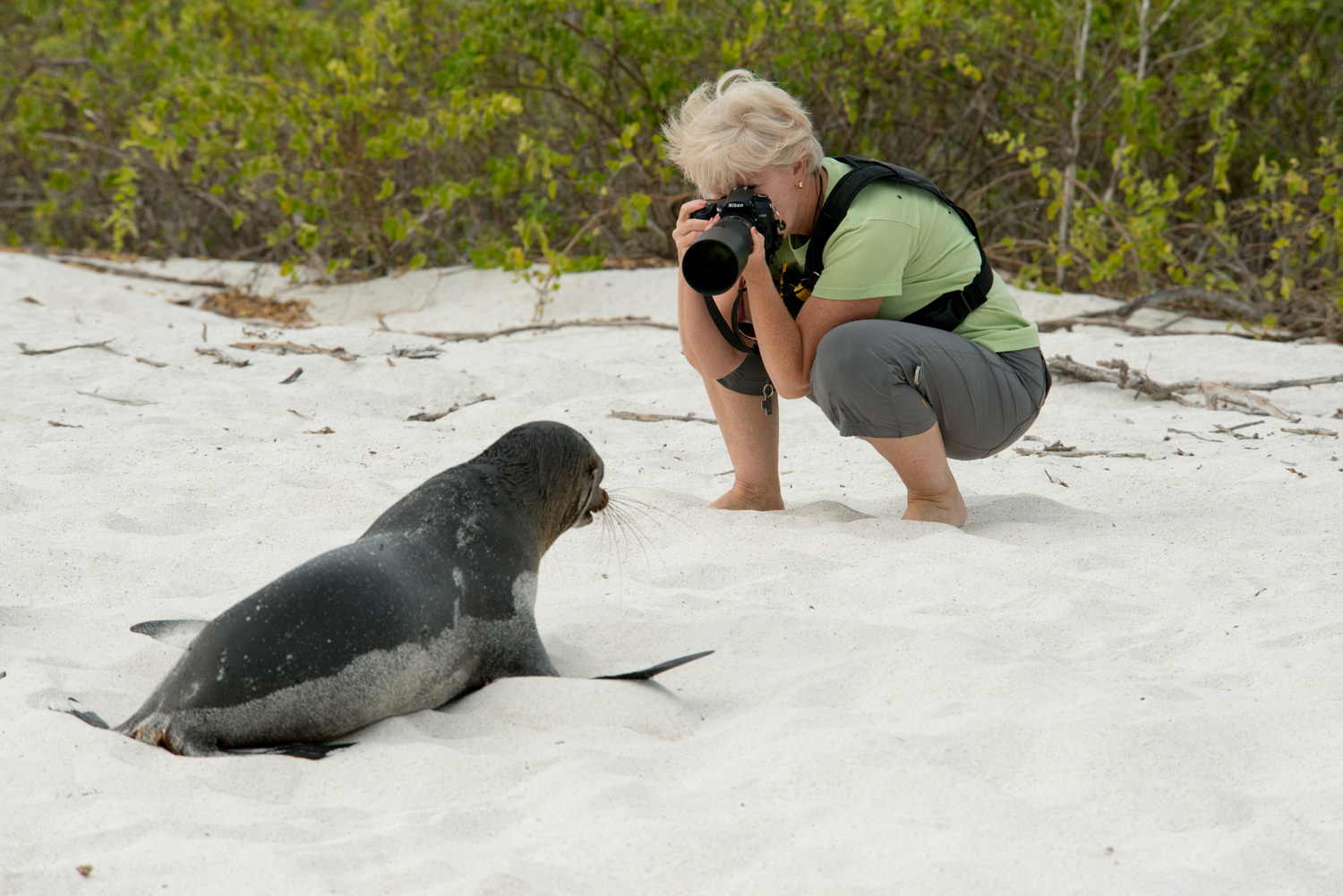 Galapagos