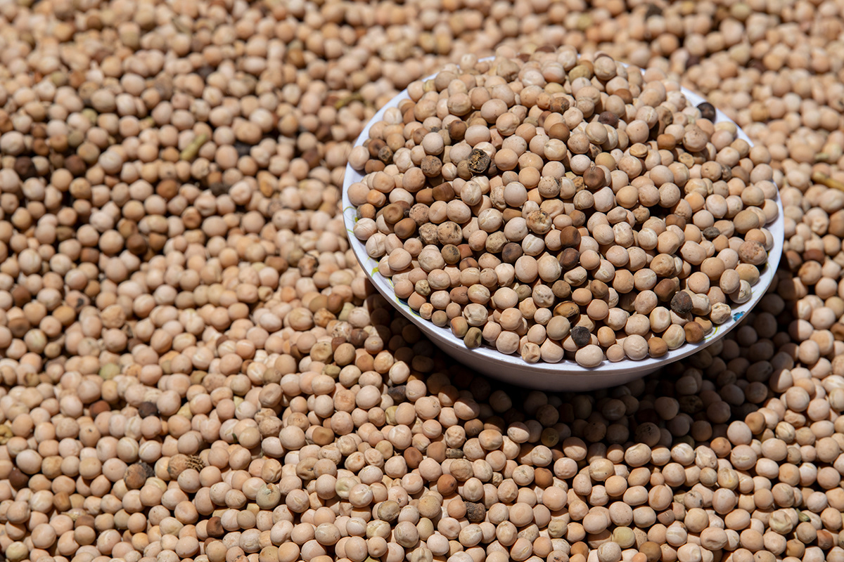 Ecuador, Otavalo Market, chickpeas
