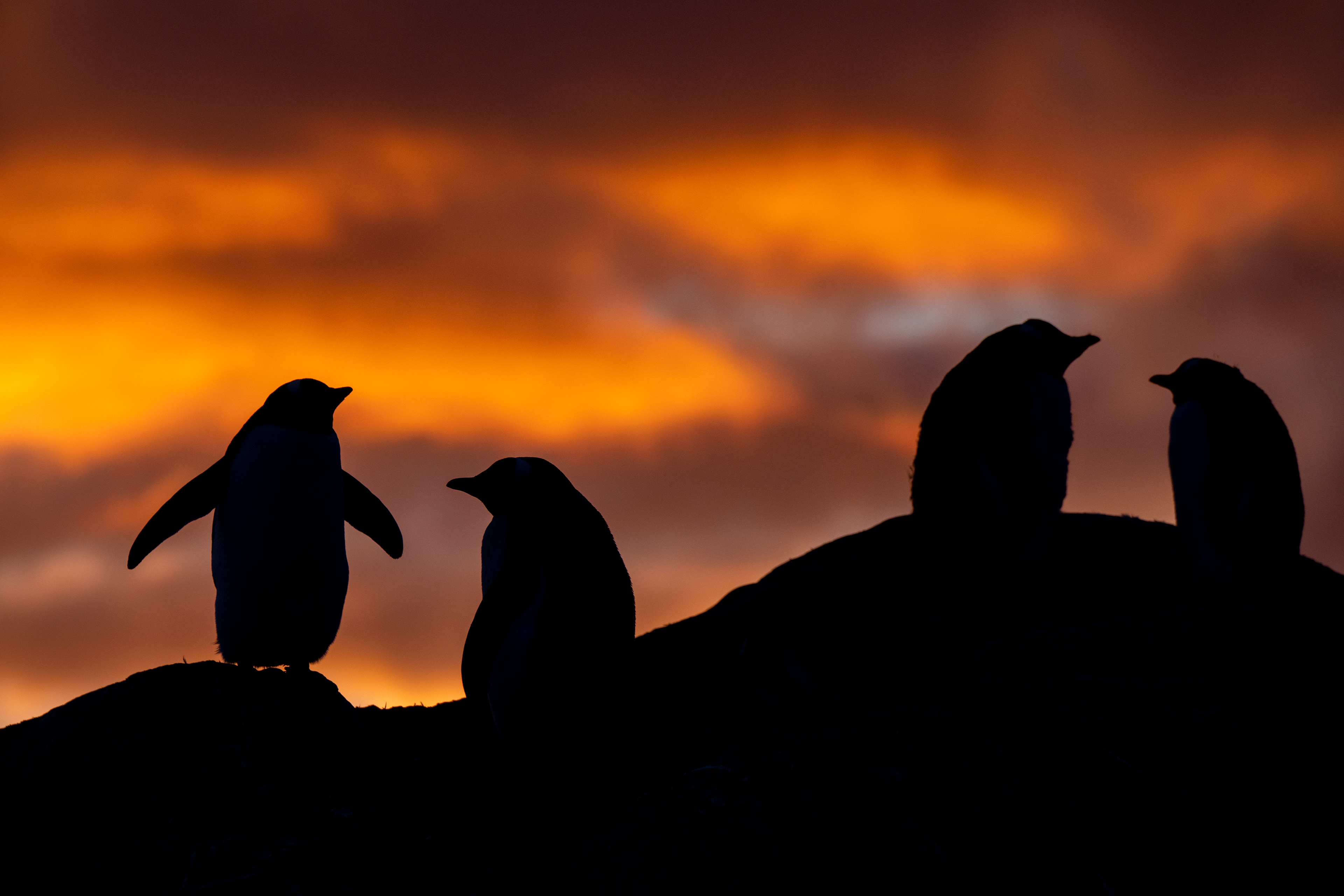 Antarctica