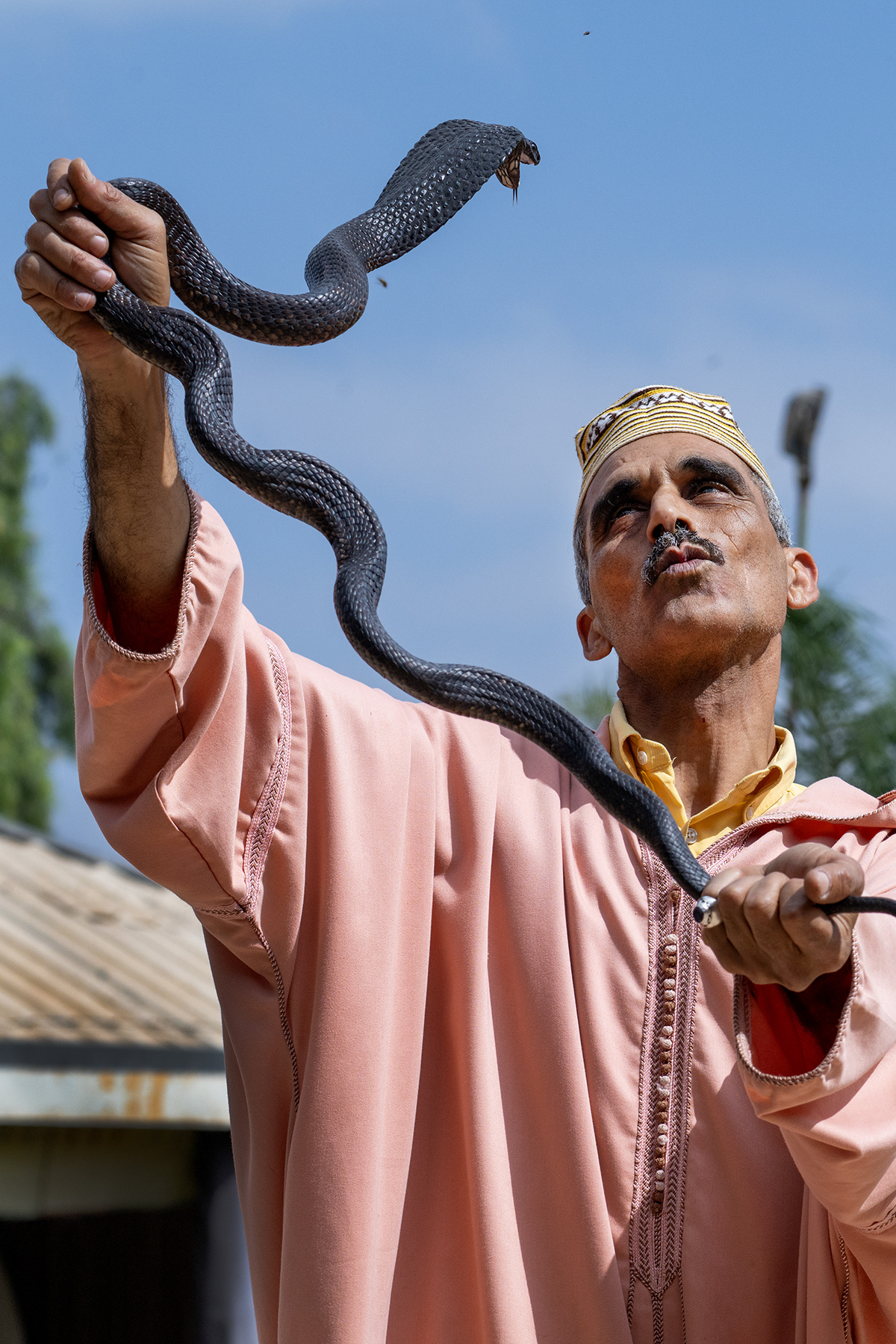 Morocco snake charmer