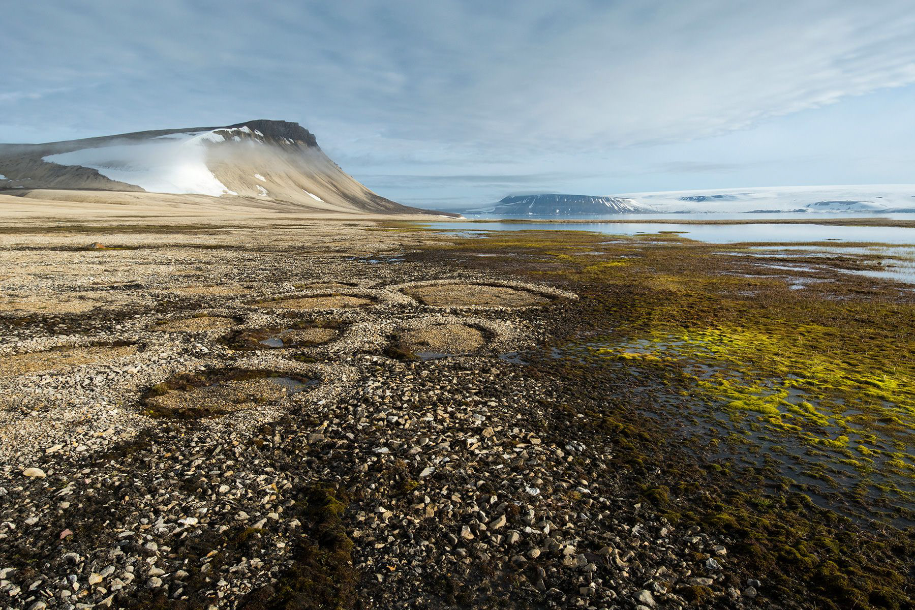 Norway, Svalbard, Zeipelodden