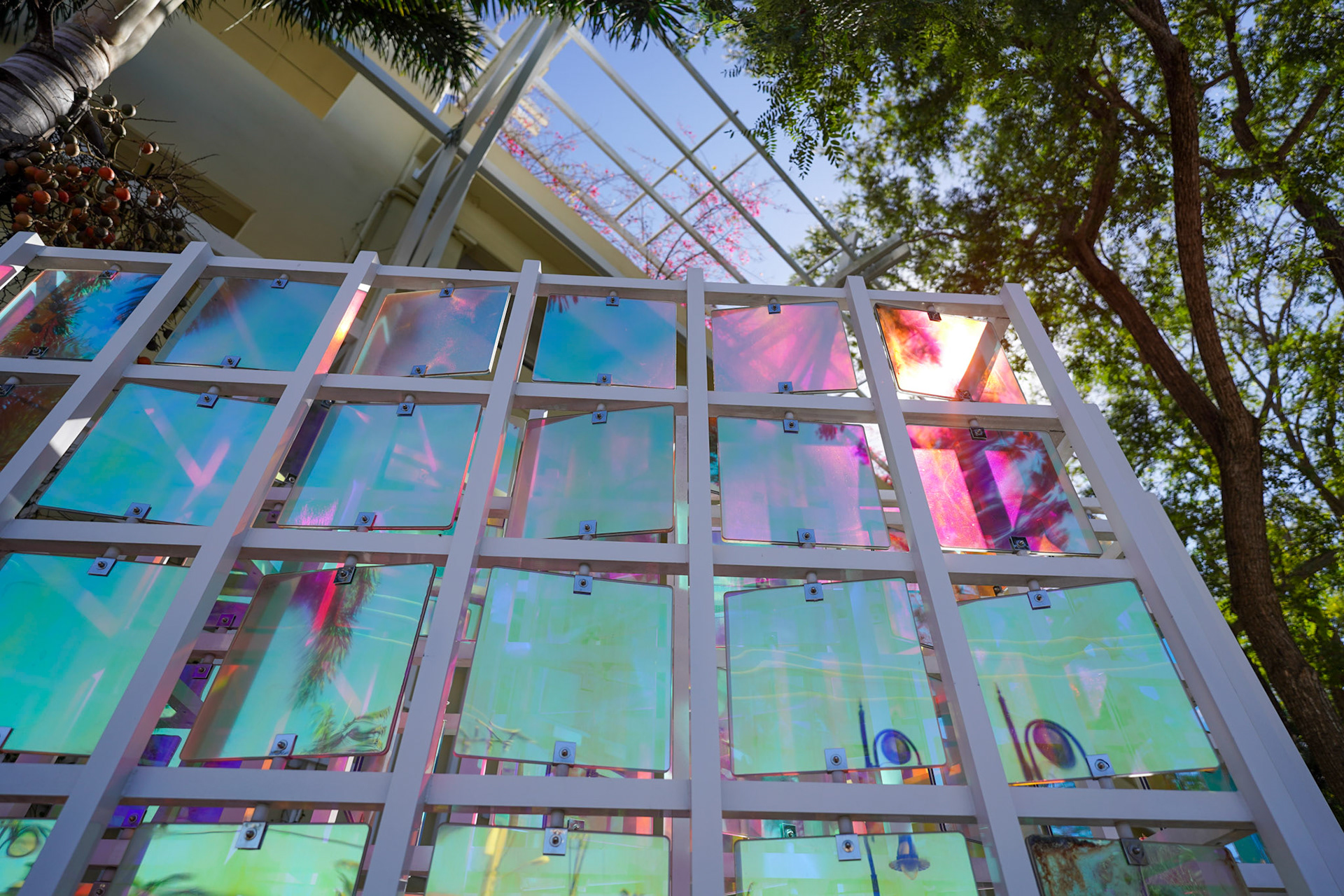 Artistic Photoshoot Naples Florida