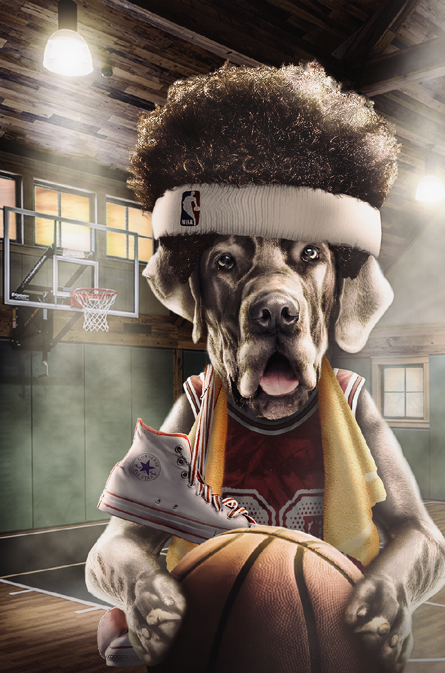 THE GREAT DANE OF BASKETBALL