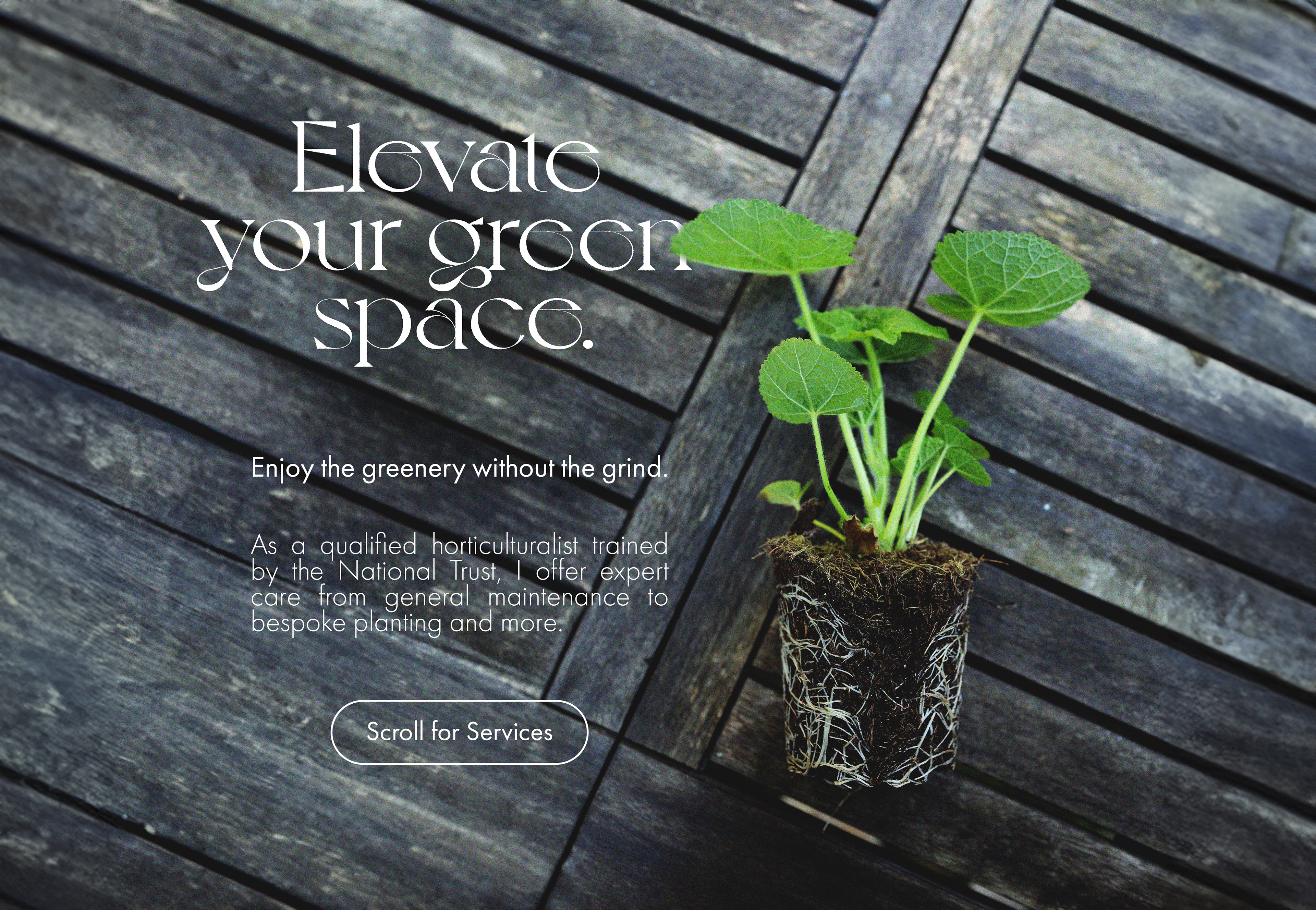 Elevate your green space. Enjoy the greenery without the grind. As a qualified horticulturalist trained by the National Trust, I offer expert care from general maintenance to bespoke planting and more.